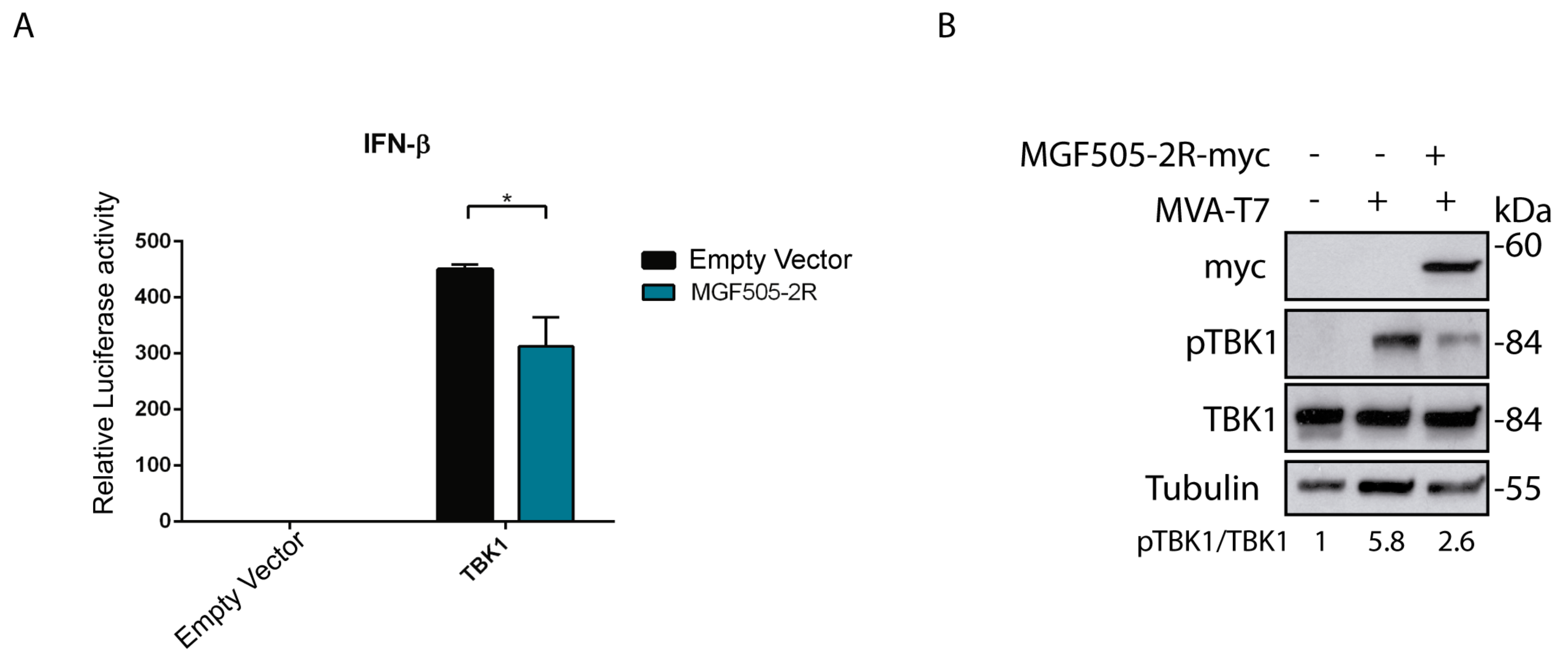 Vaccines 12 00407 g001