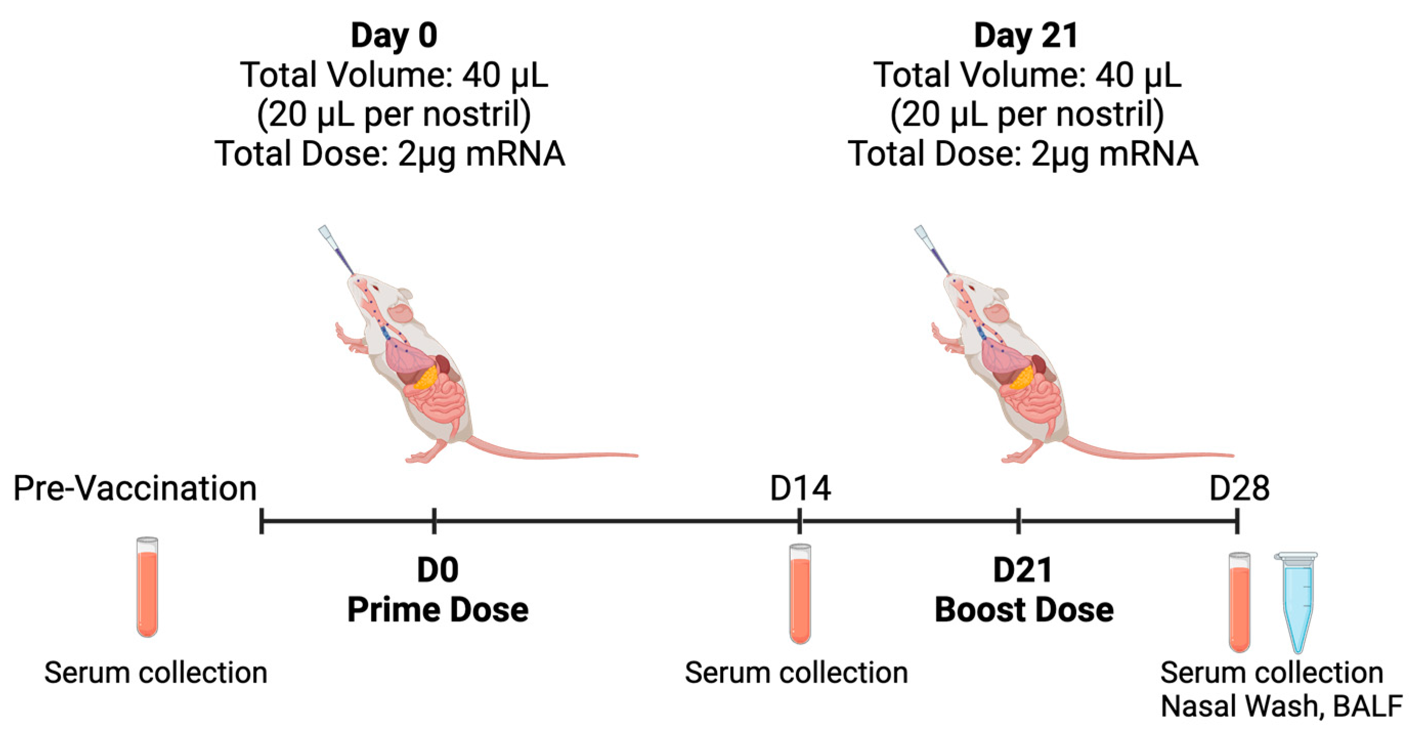 Vaccines 12 00409 g003