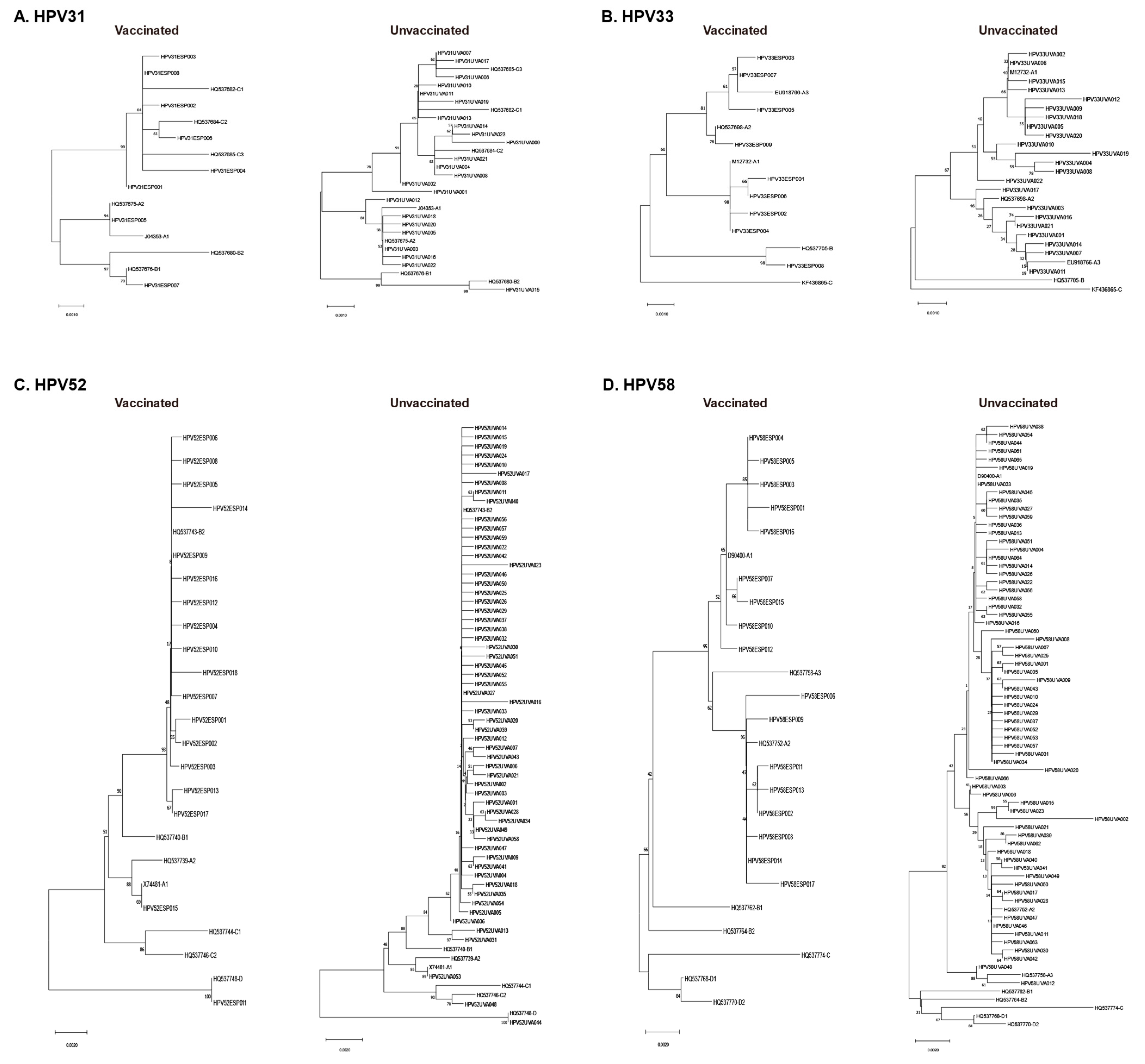 Vaccines 12 00411 g002 Vaccines 12 00411 g002