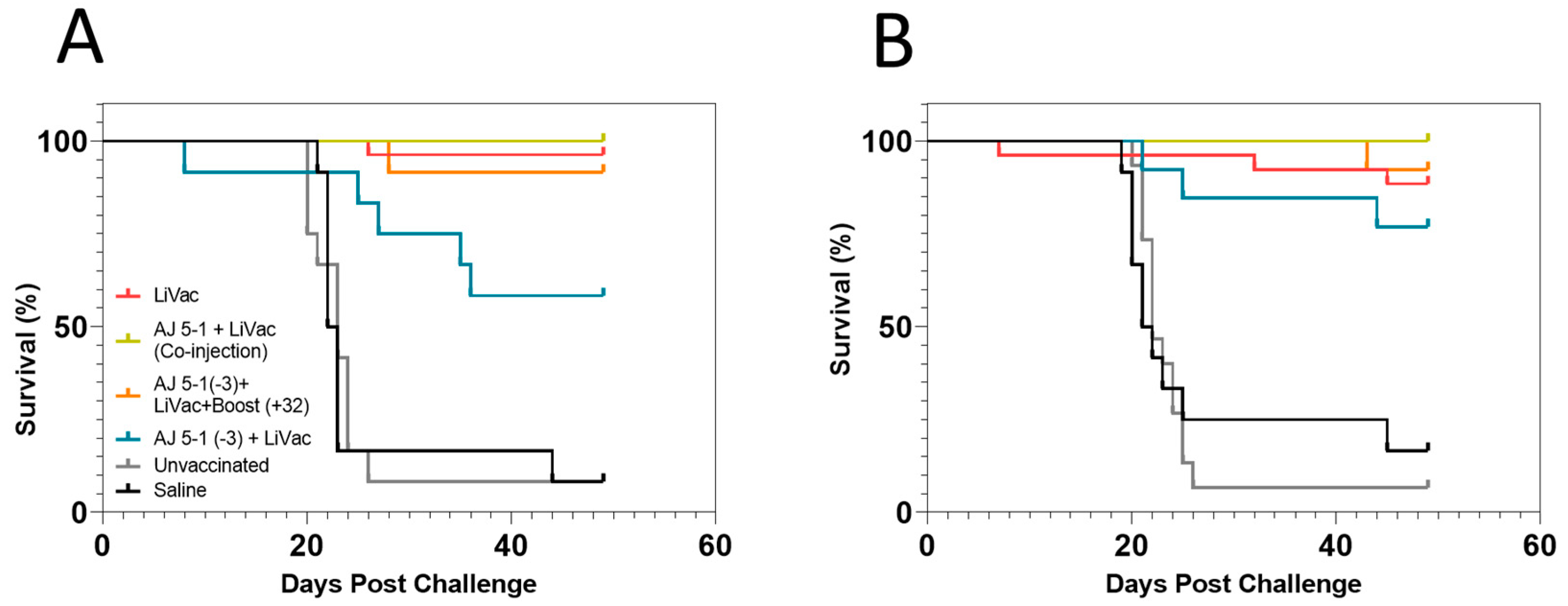 Vaccines 12 00416 g001