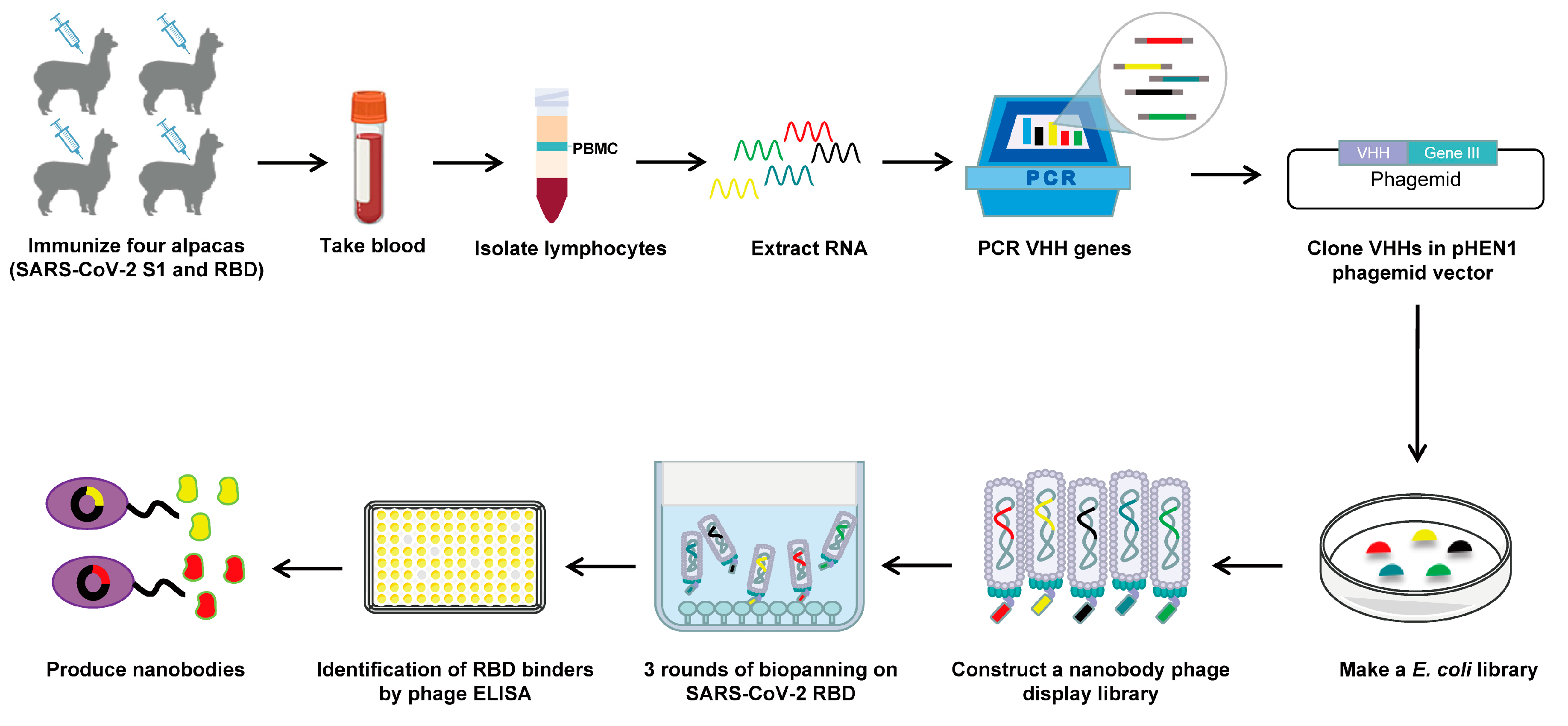 Vaccines 12 00417 g001