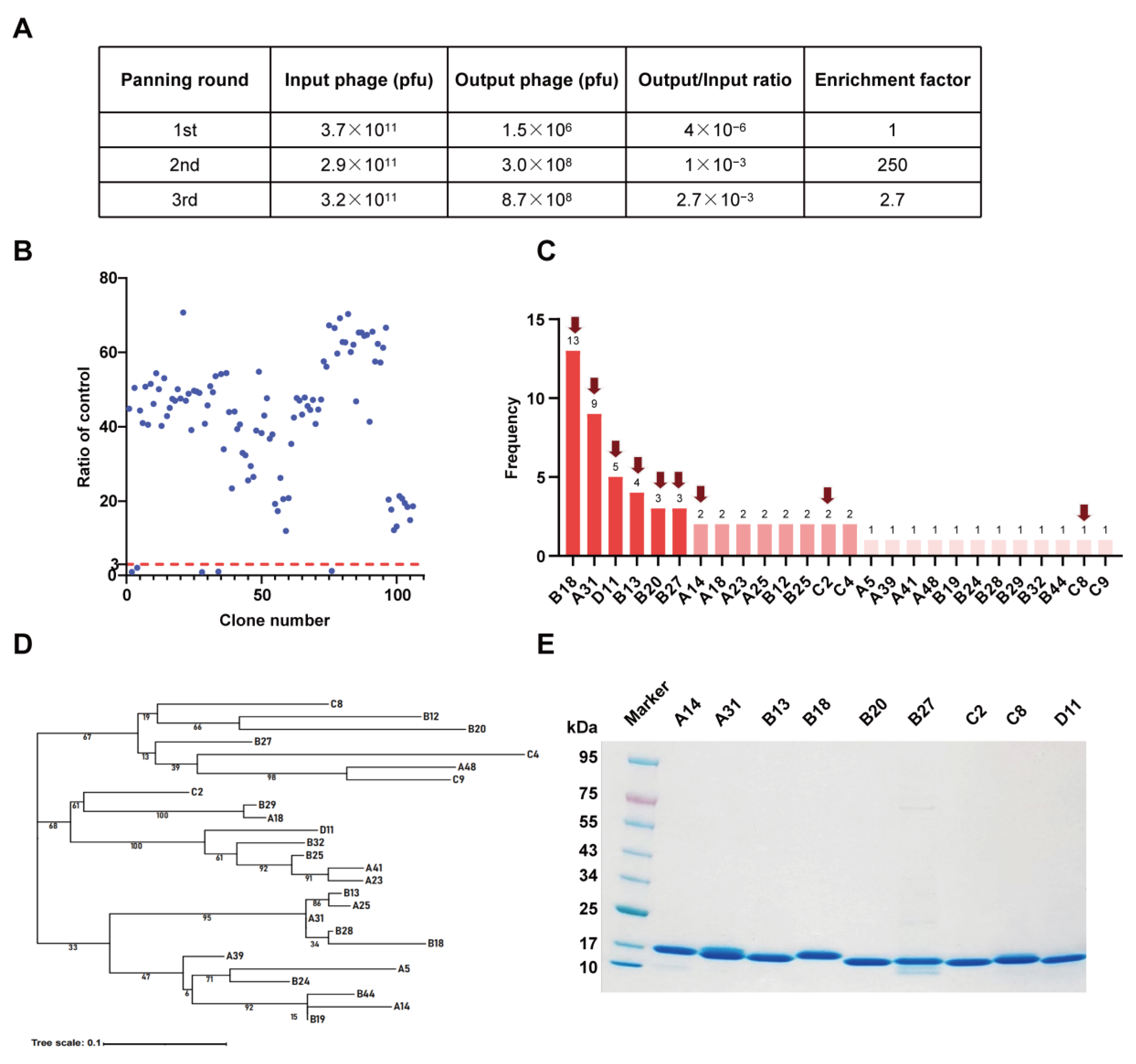 Vaccines 12 00417 g002