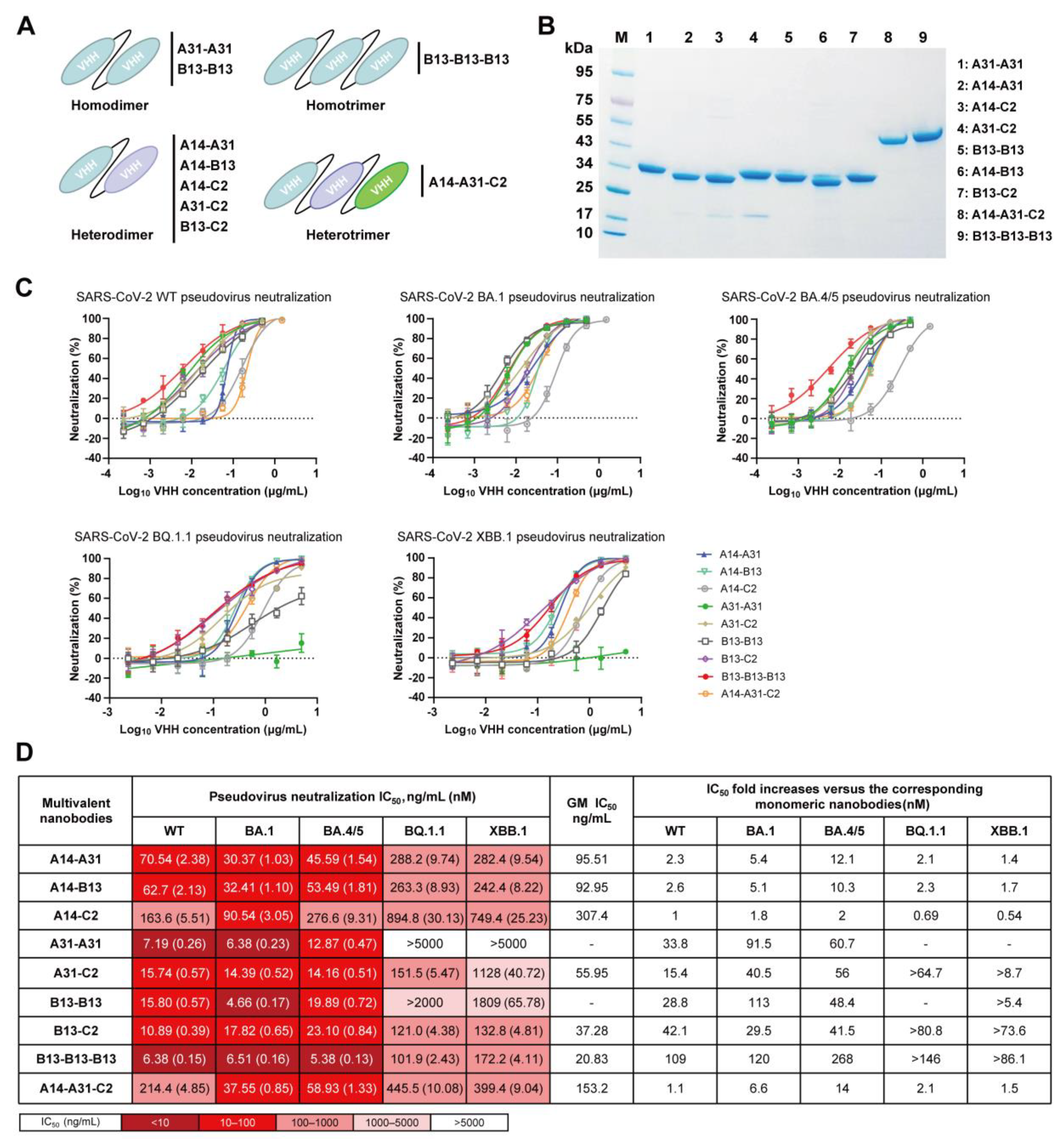 Vaccines 12 00417 g005