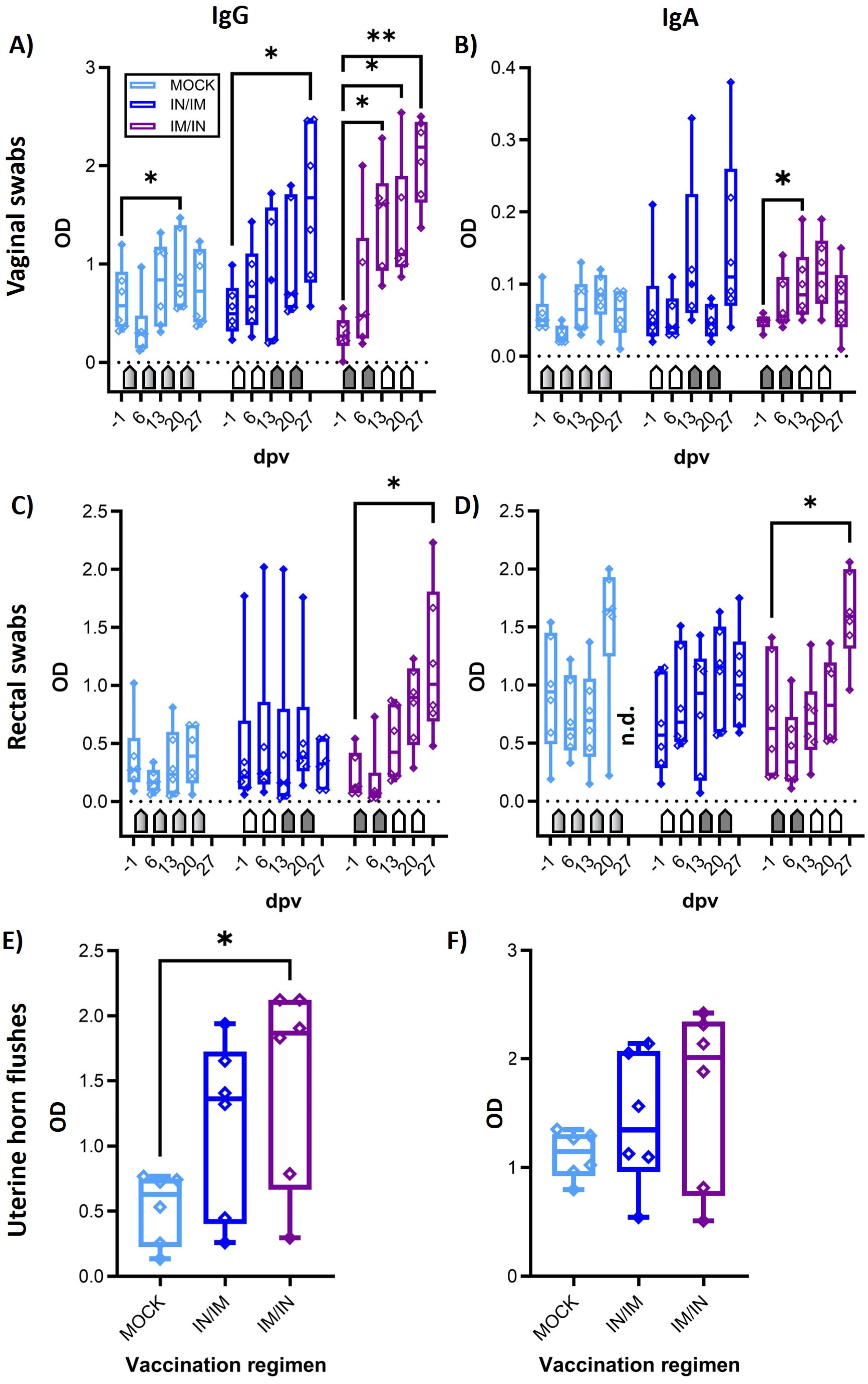 Vaccines 12 00423 g005
