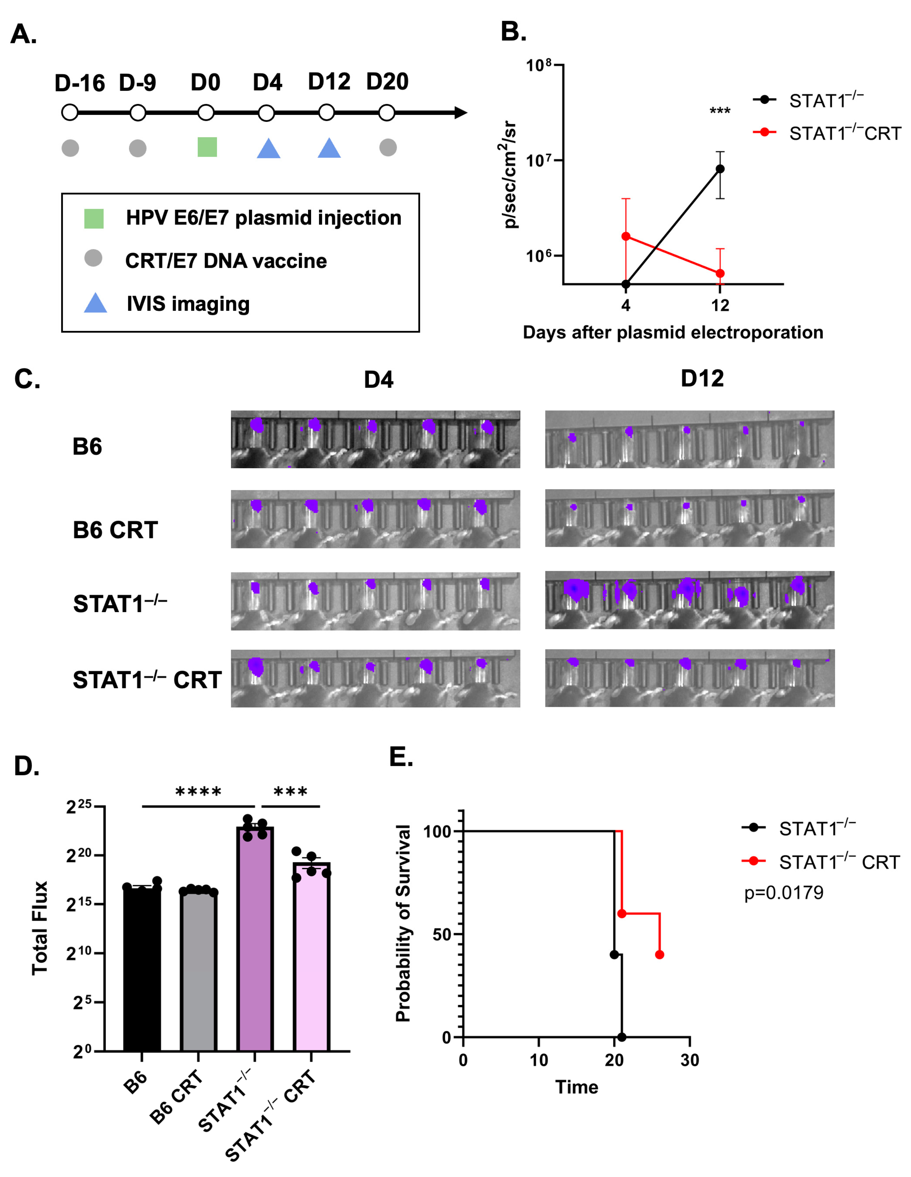 Vaccines 12 00430 g002