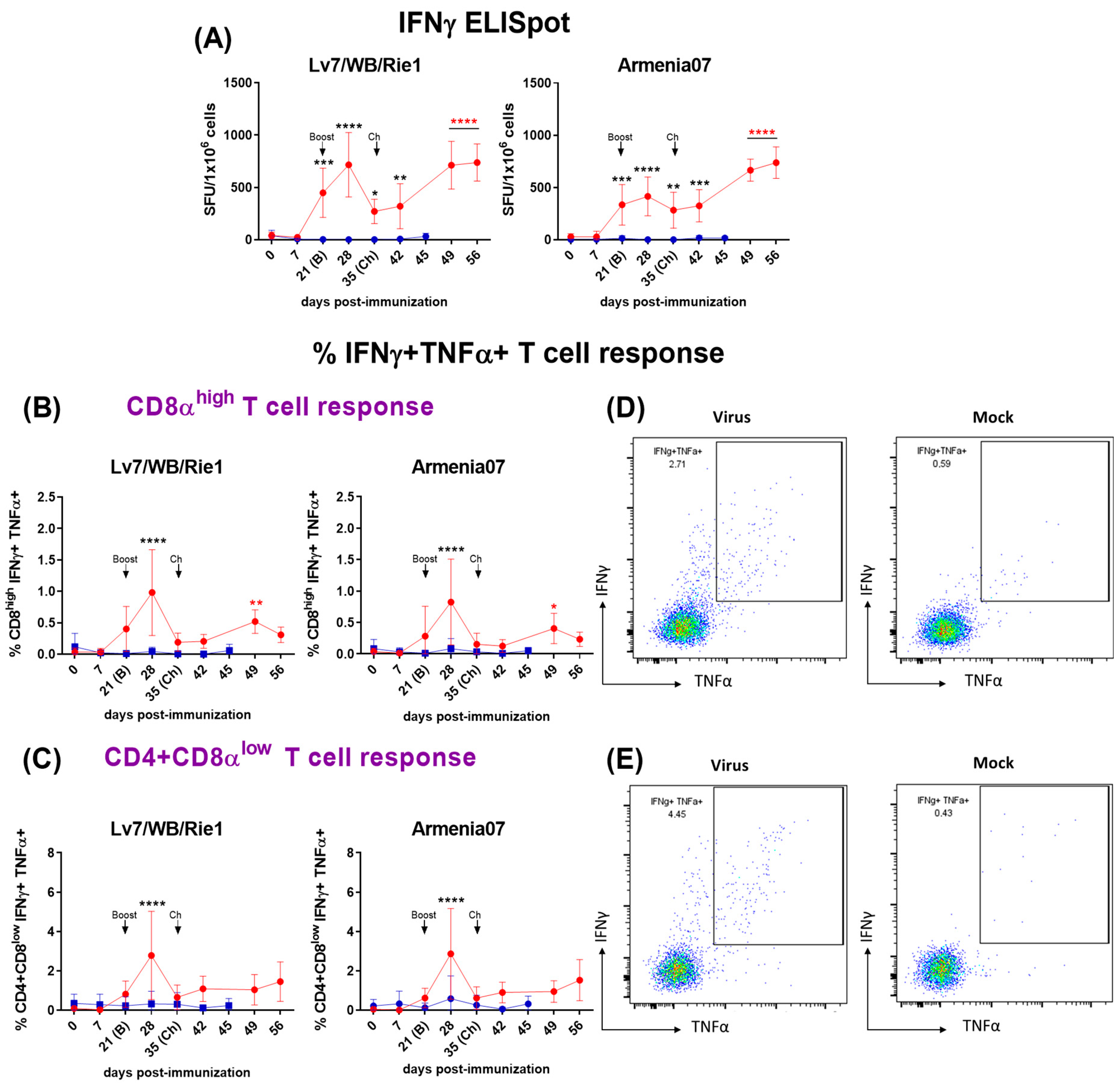 Vaccines 12 00443 g002