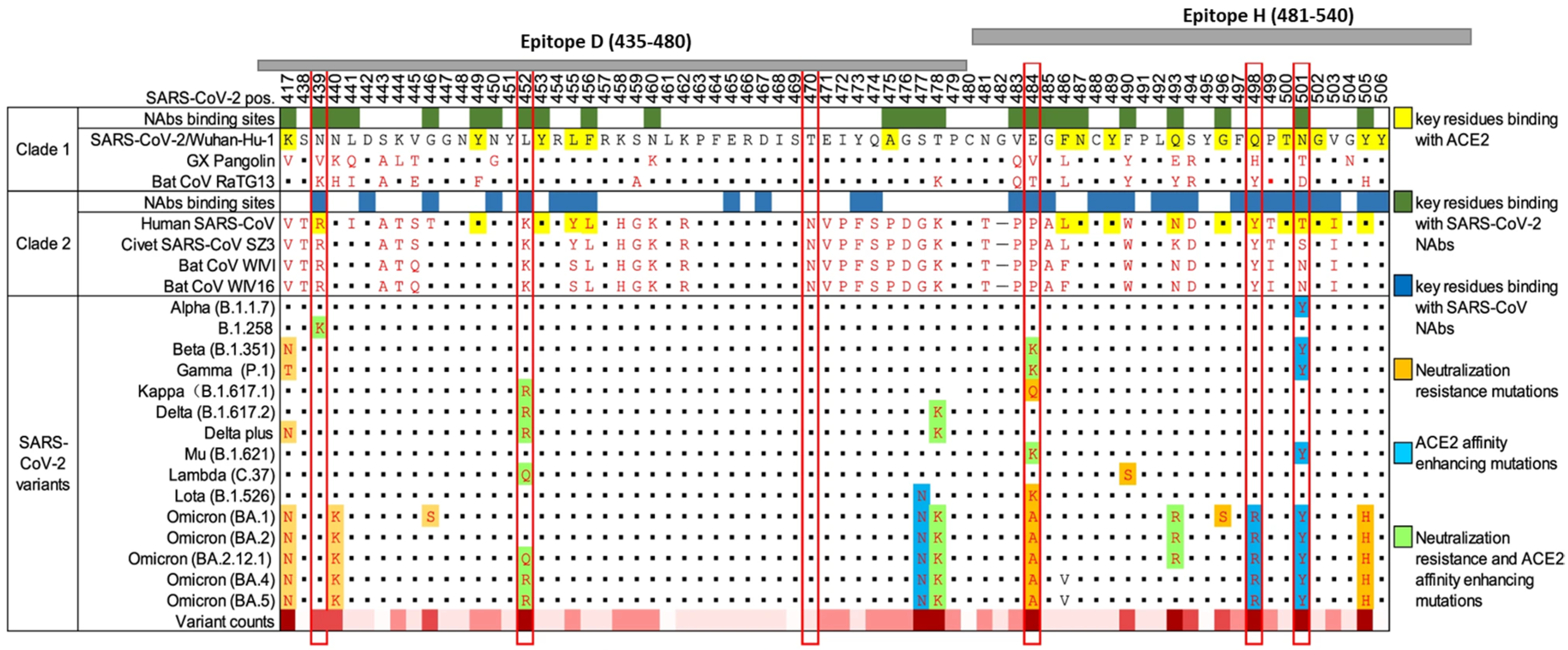 Vaccines 12 00448 g001