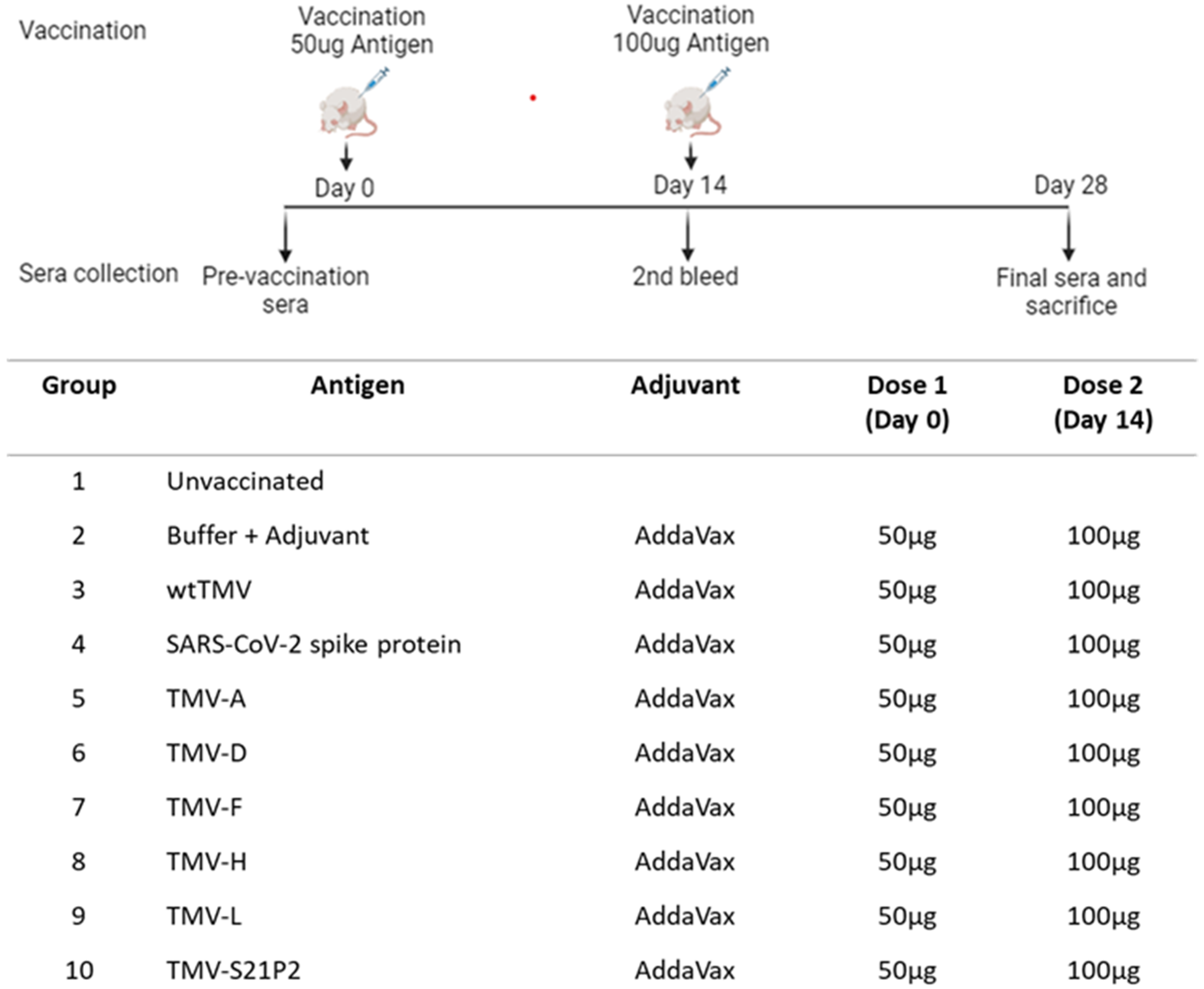 Vaccines 12 00448 g002