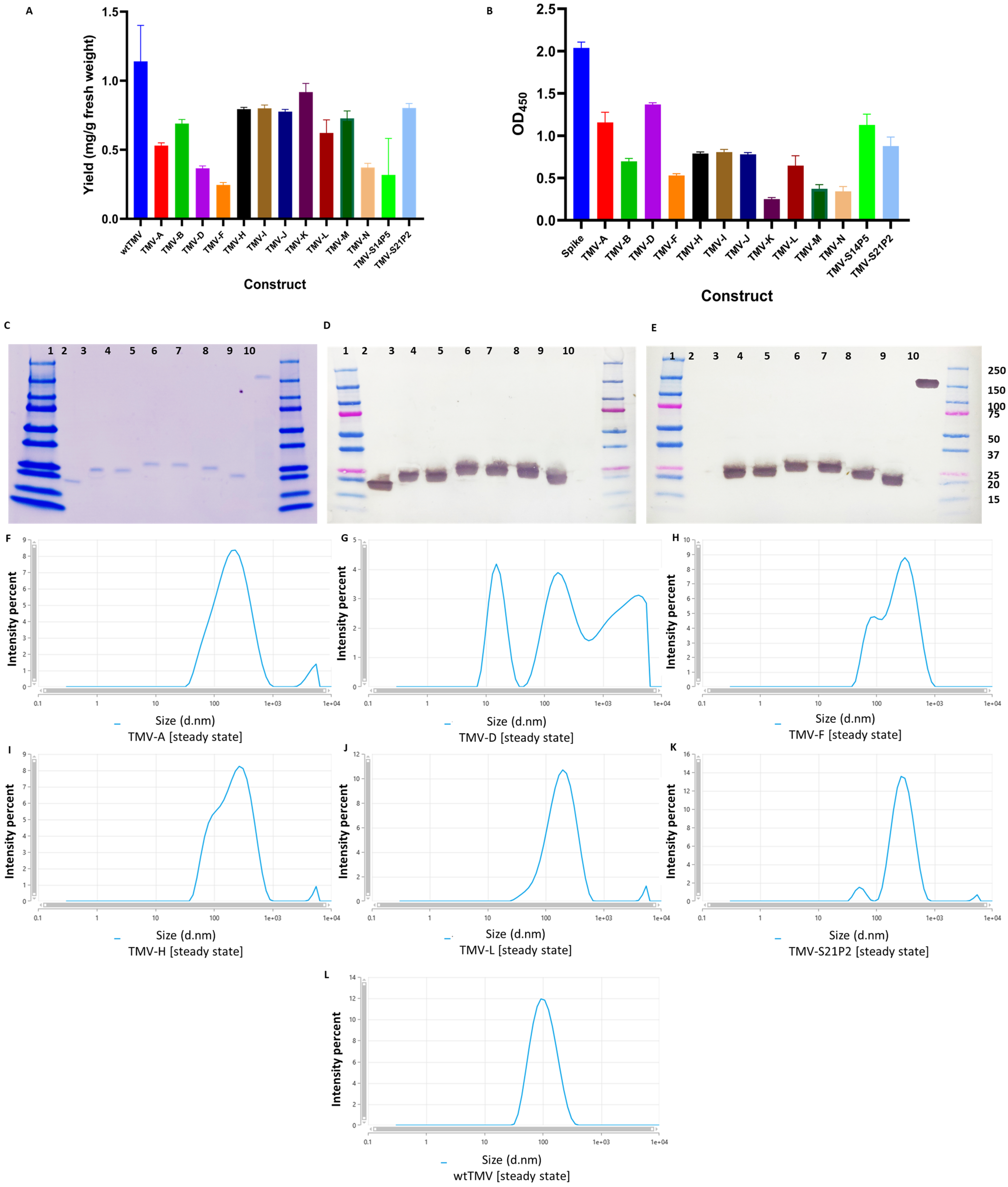 Vaccines 12 00448 g003
