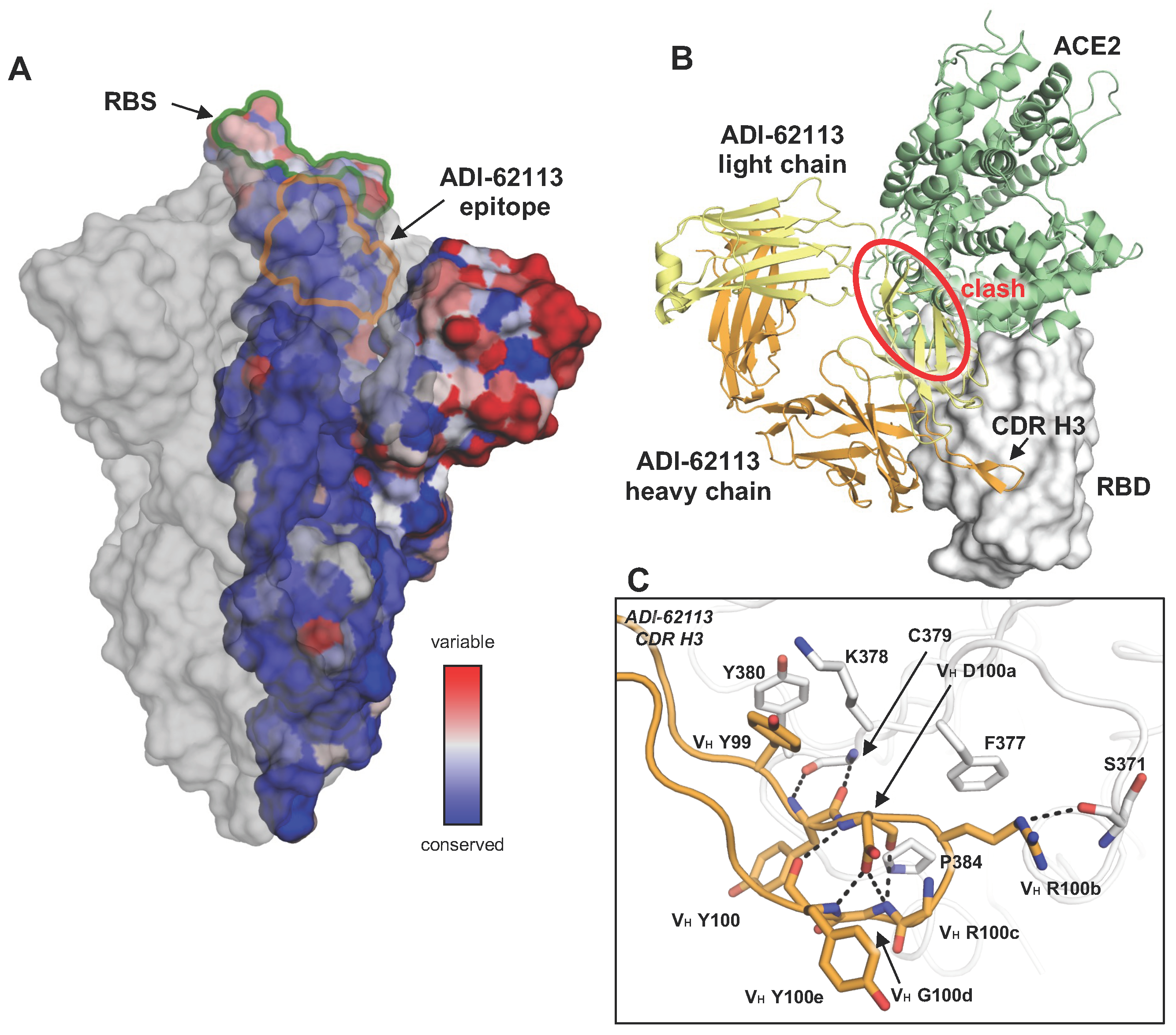 Vaccines 12 00467 g001