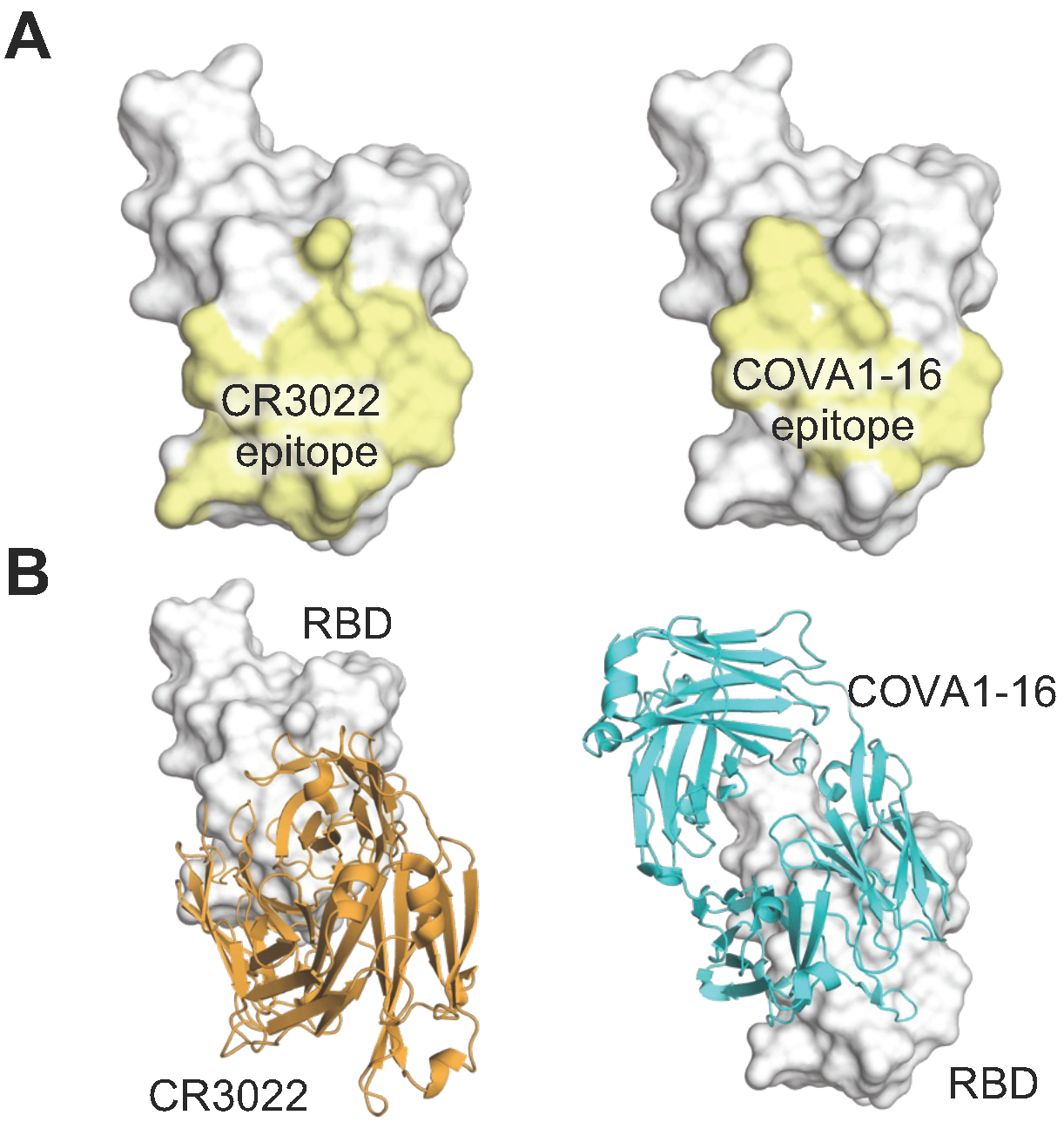 Vaccines 12 00467 g003