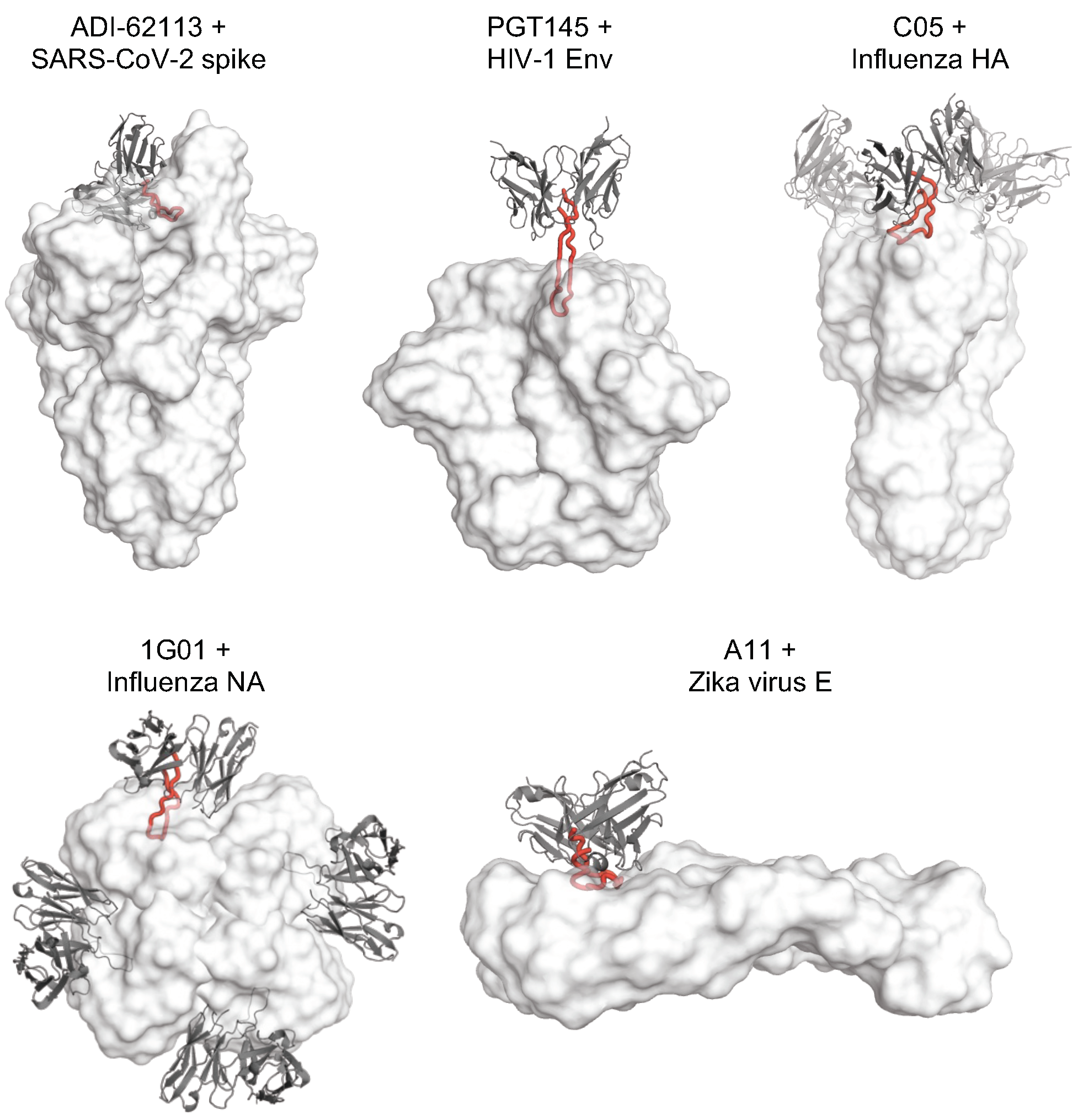 Vaccines 12 00467 g004