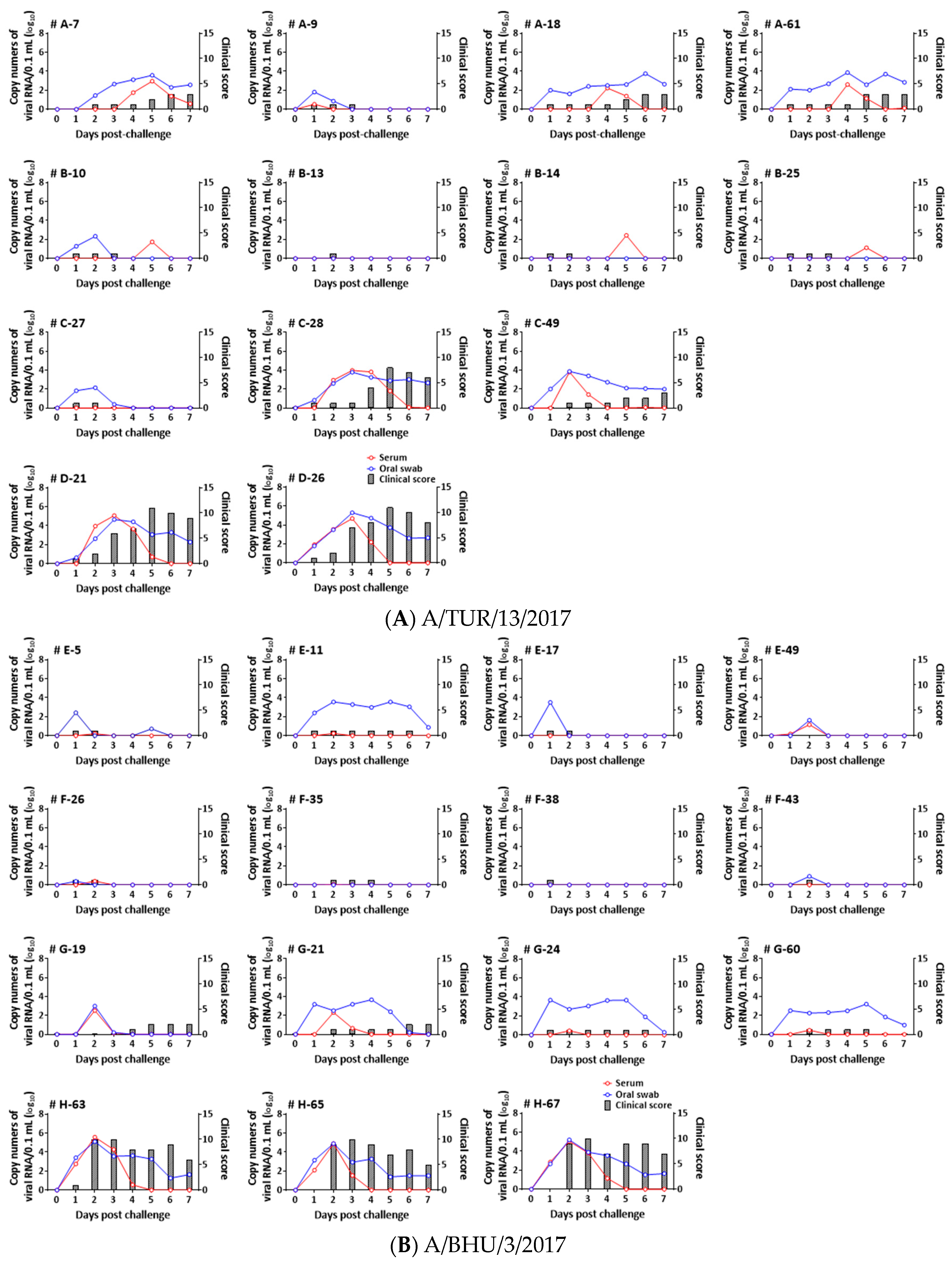 Vaccines 12 00476 g001