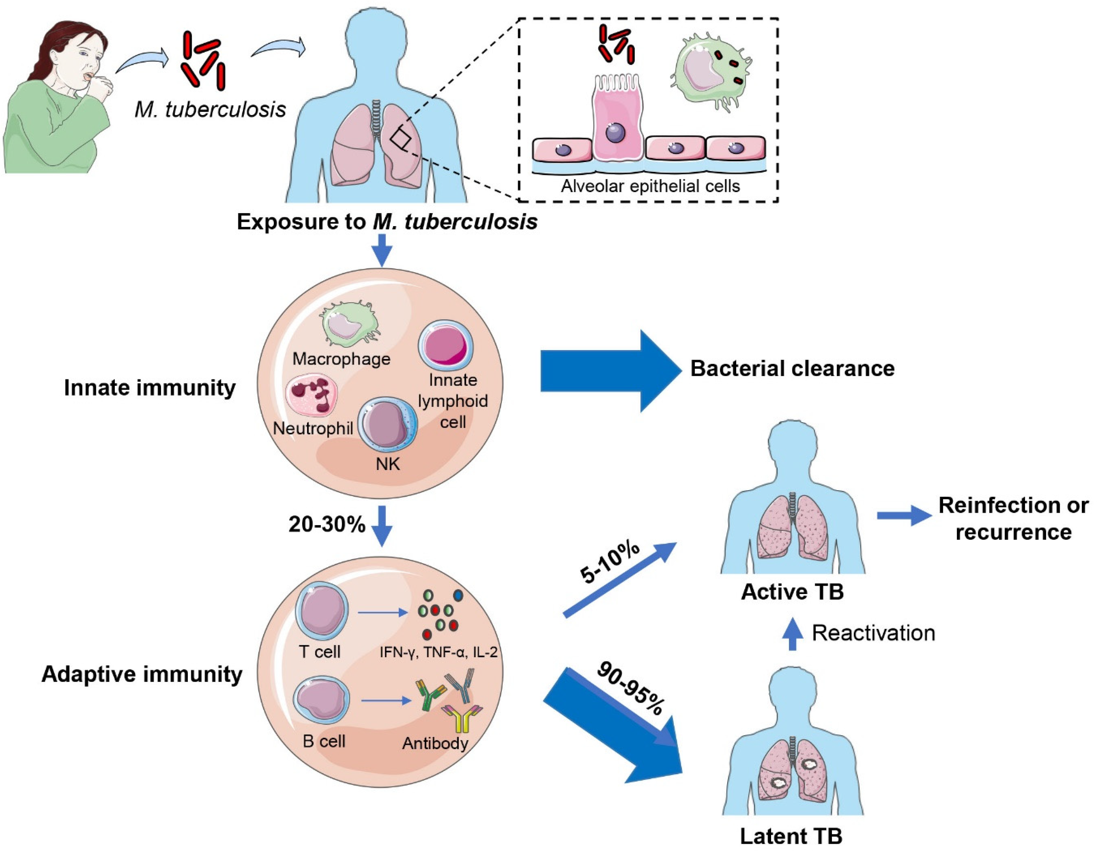 Vaccines 12 00483 g001