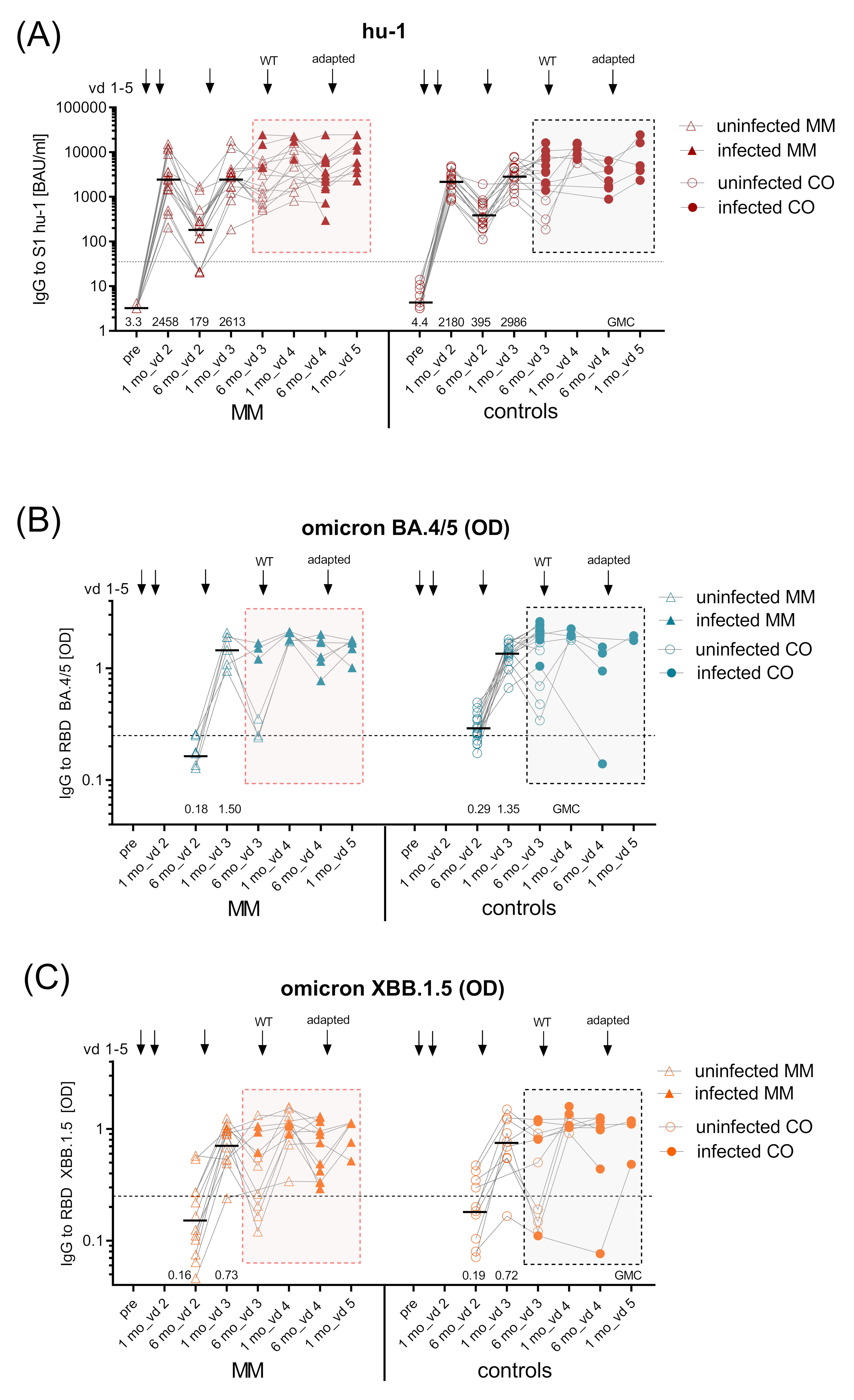 Vaccines 12 00518 g006a