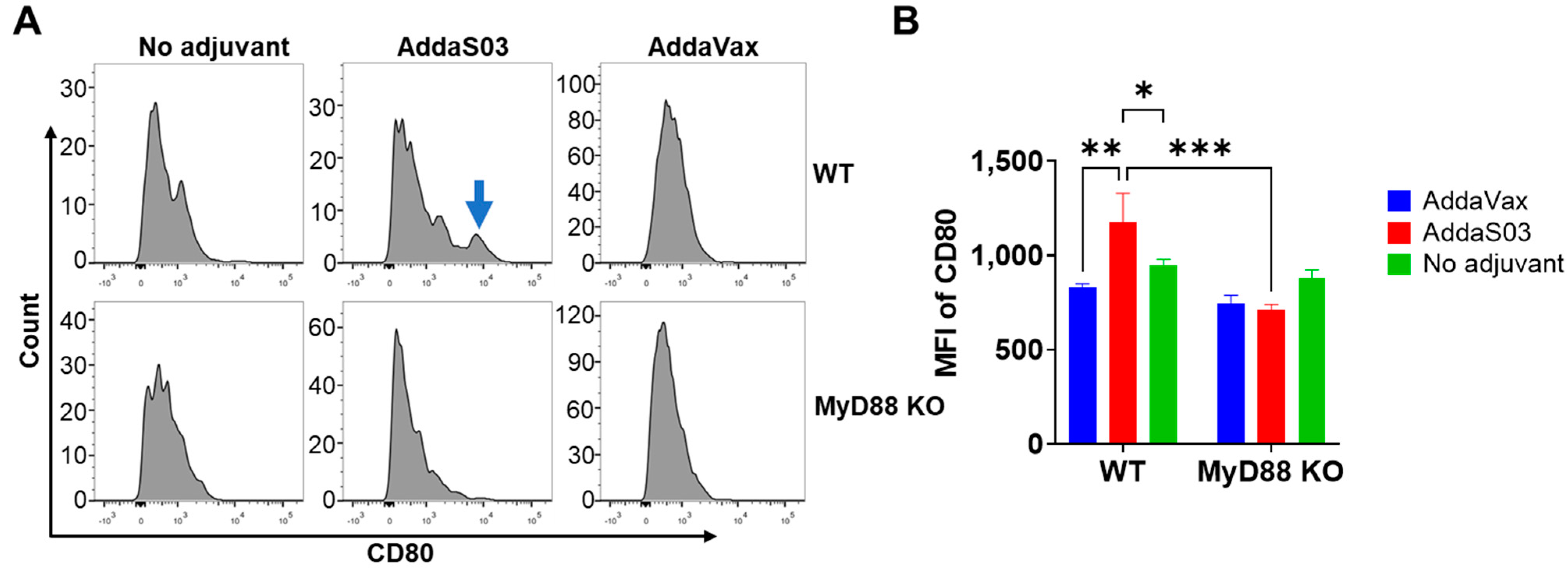 Vaccines 12 00531 g002