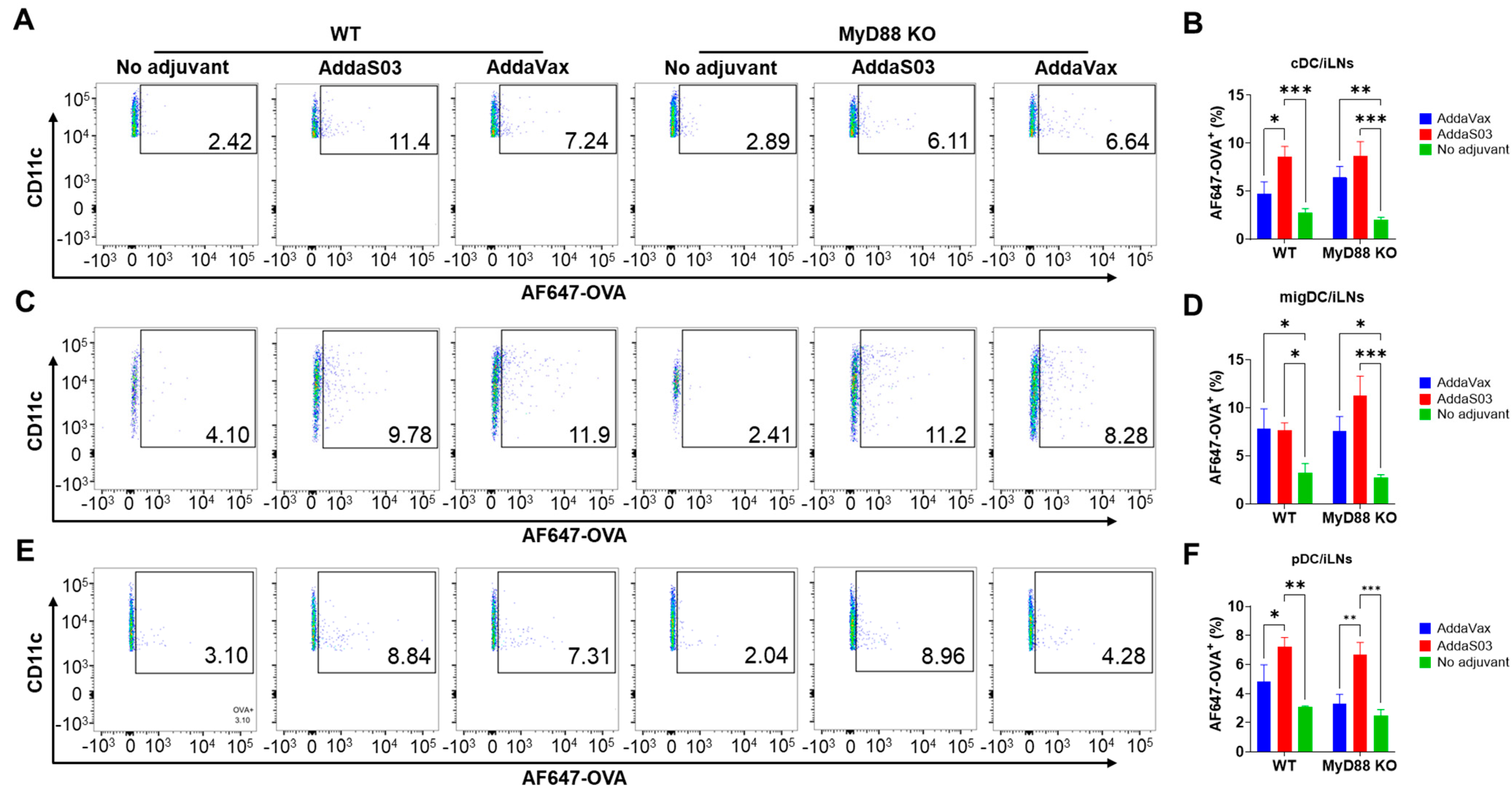 Vaccines 12 00531 g003