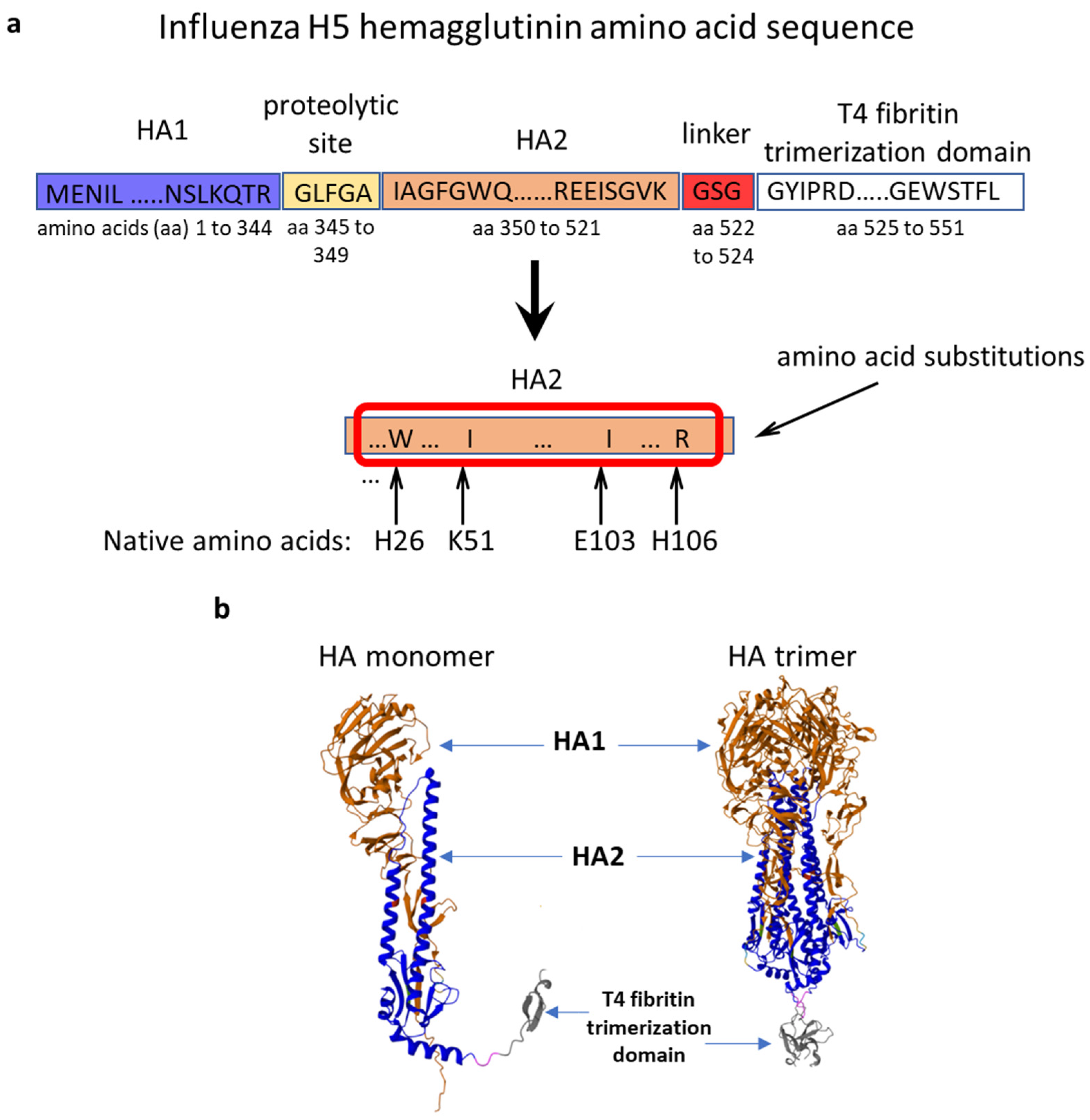 Vaccines 12 00538 g001