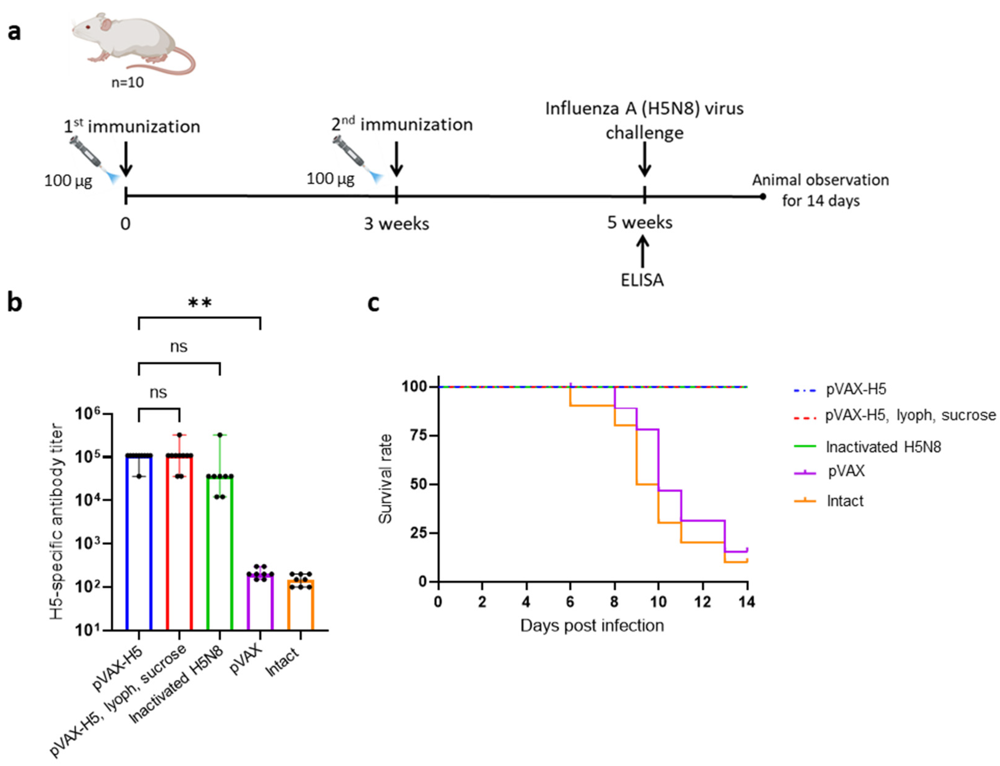 Vaccines 12 00538 g004