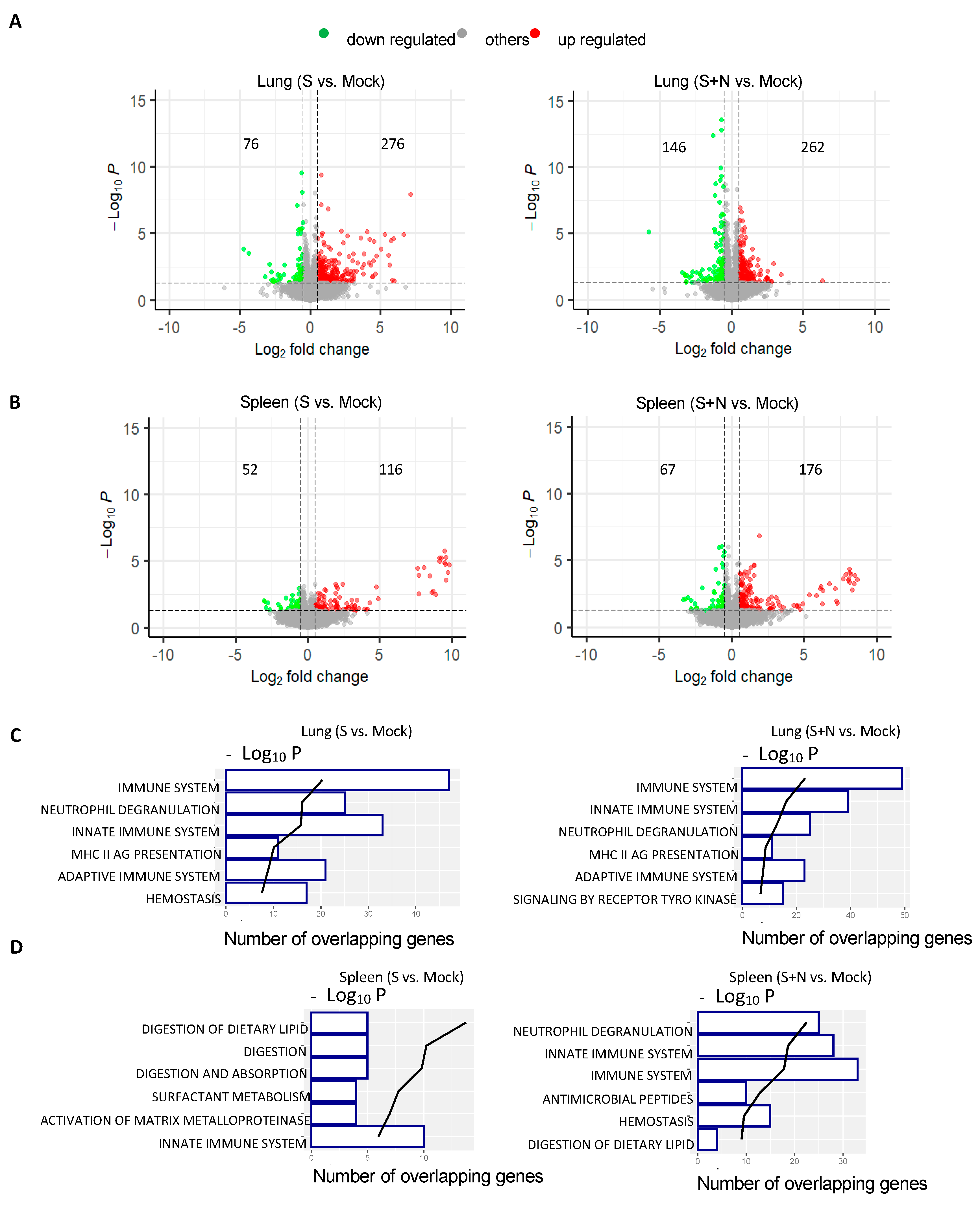 Vaccines 12 00543 g003a