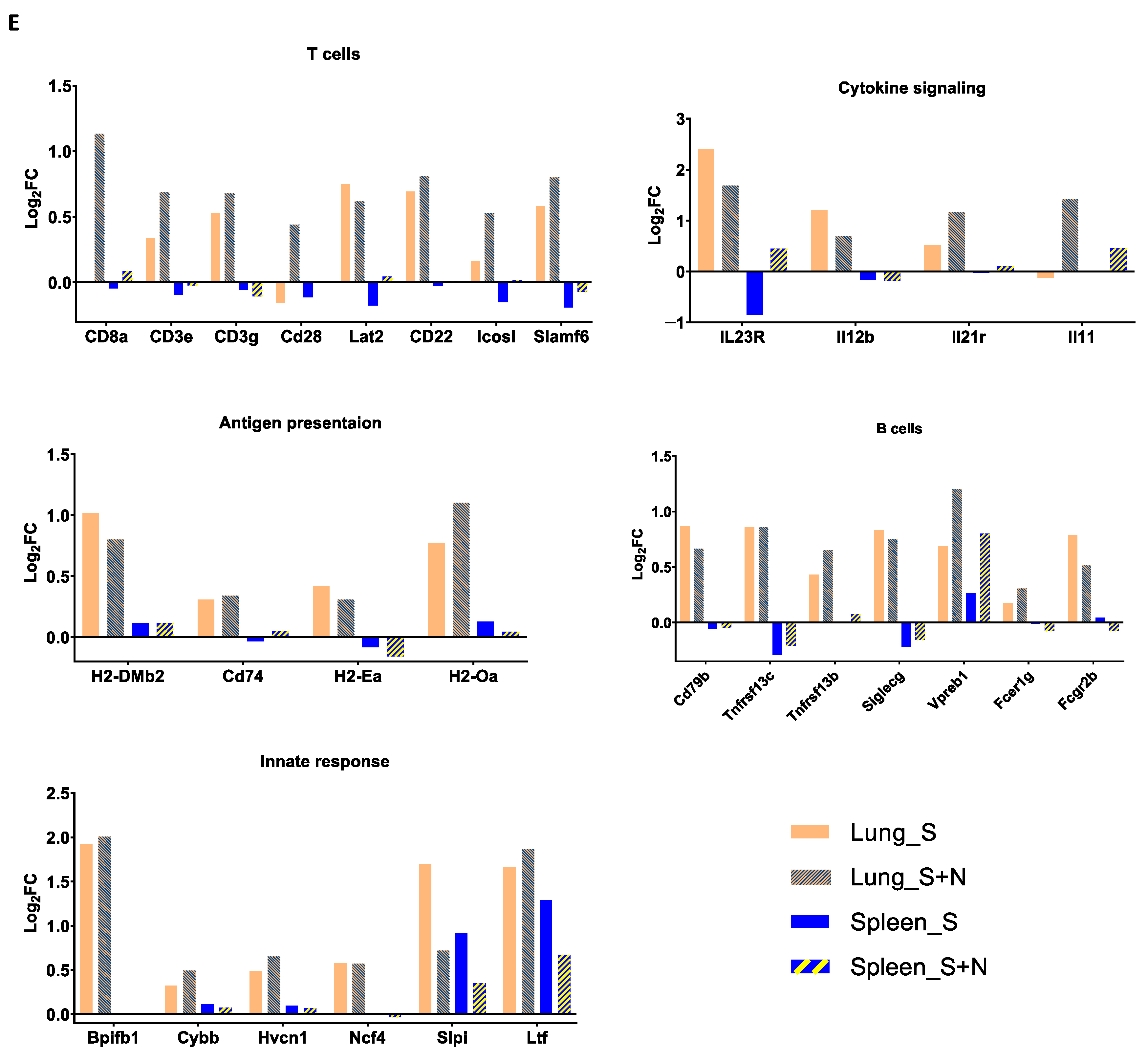 Vaccines 12 00543 g003b