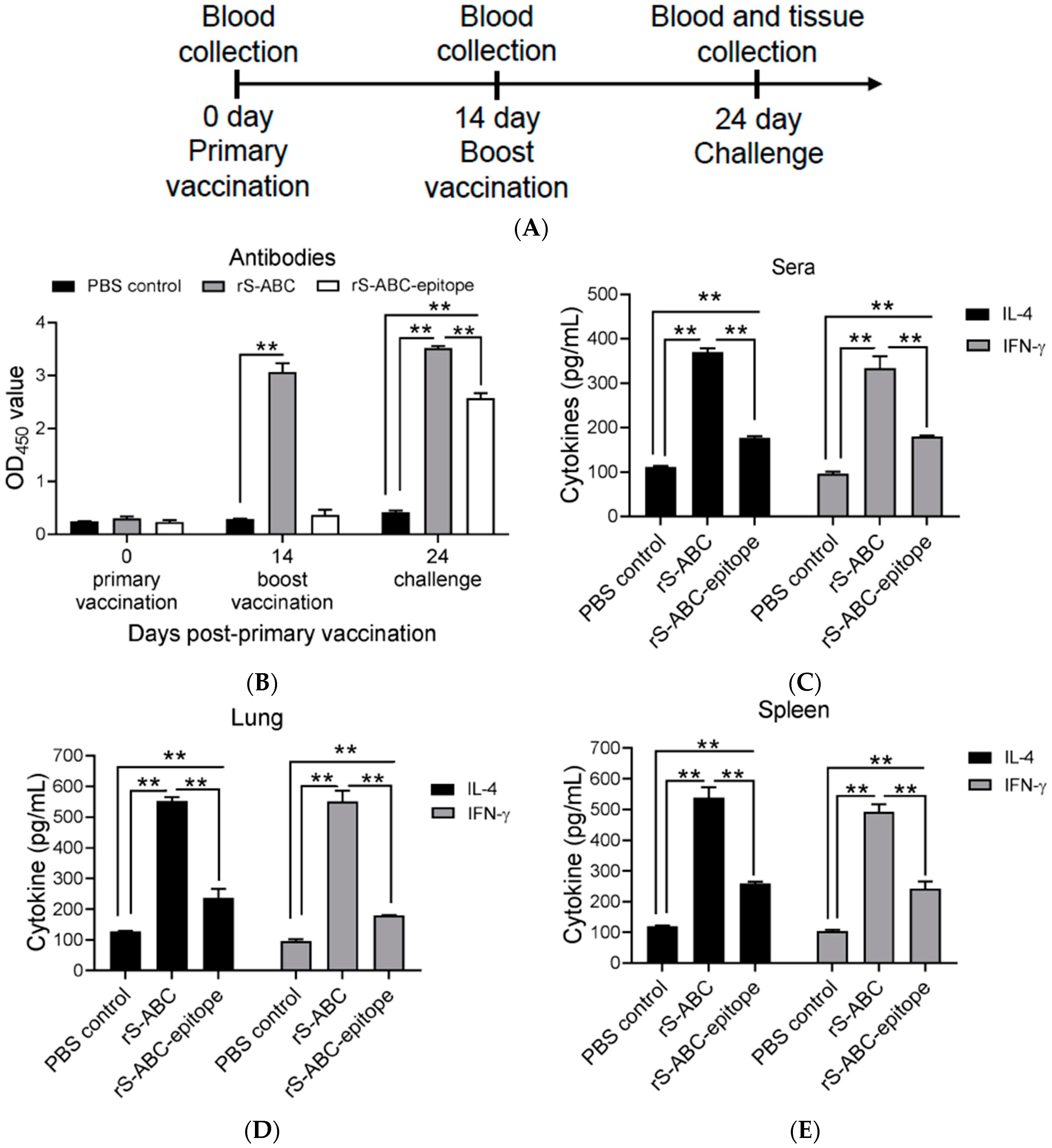 Vaccines 12 00544 g003 Vaccines 12 00544 g003