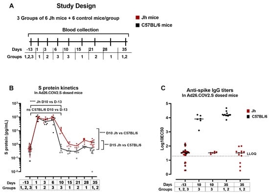 Vaccines 12 00559 g007