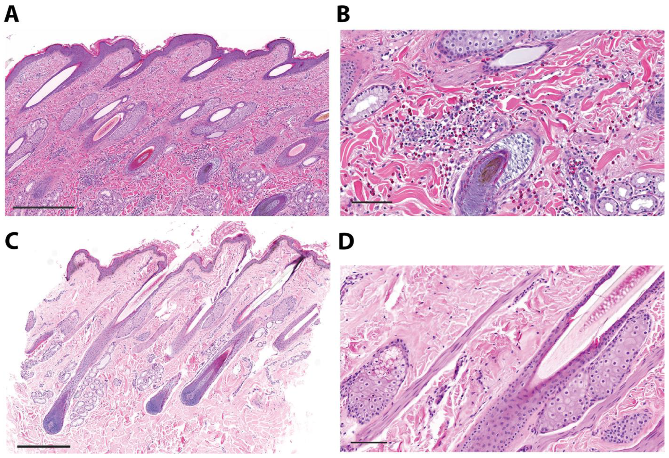 Vaccines 12 00562 g003