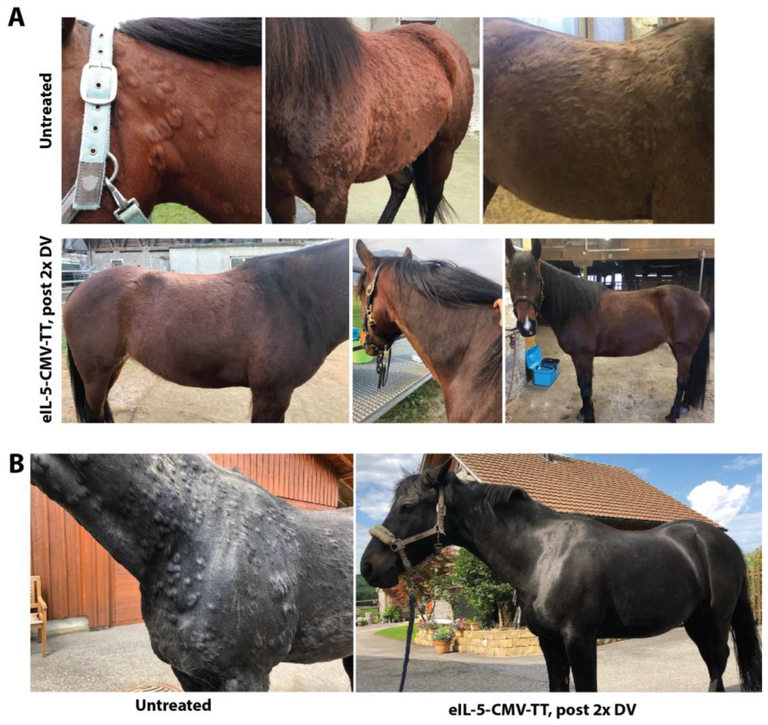 Vaccines 12 00562 g004