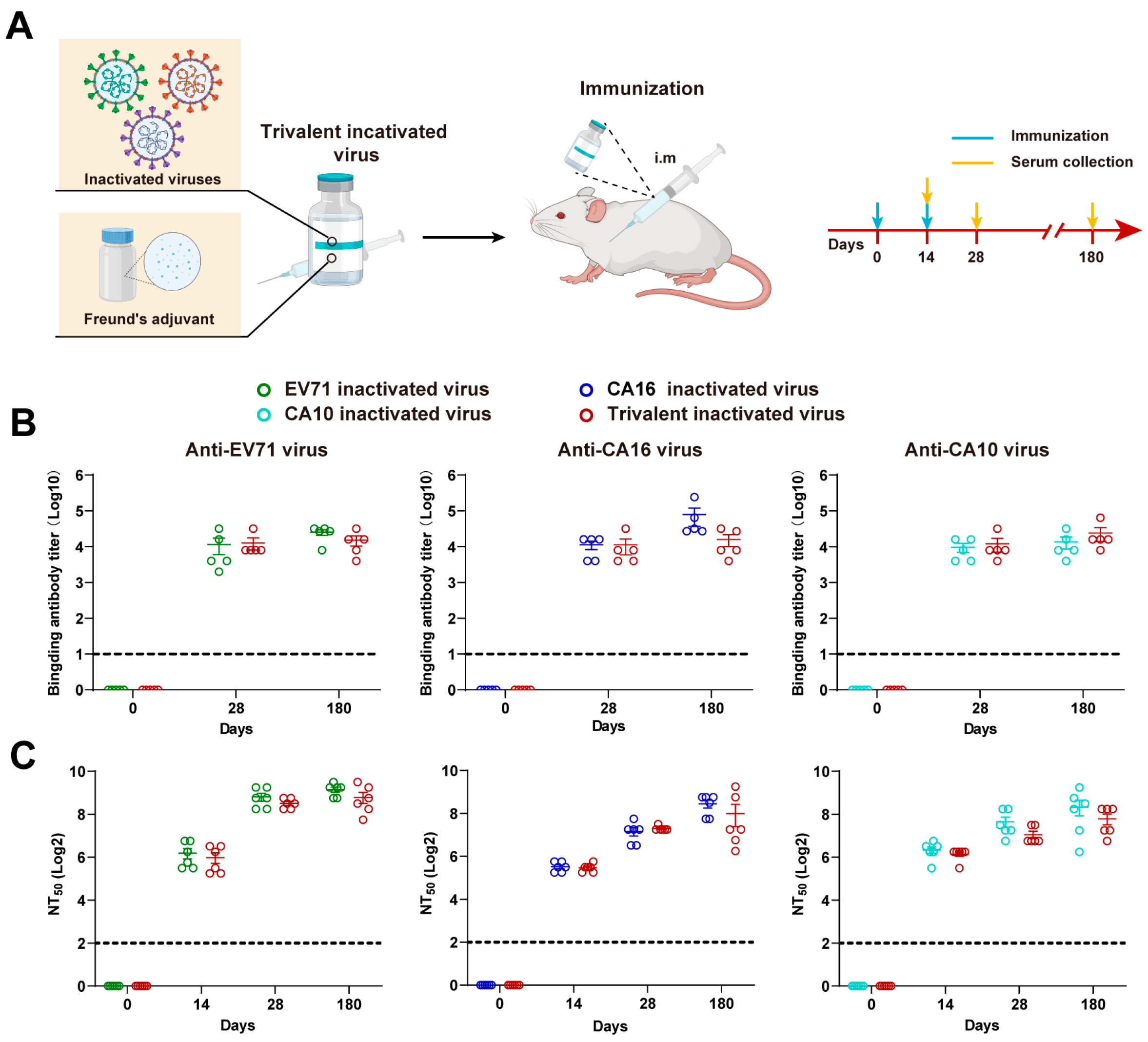 Vaccines 12 00570 g001