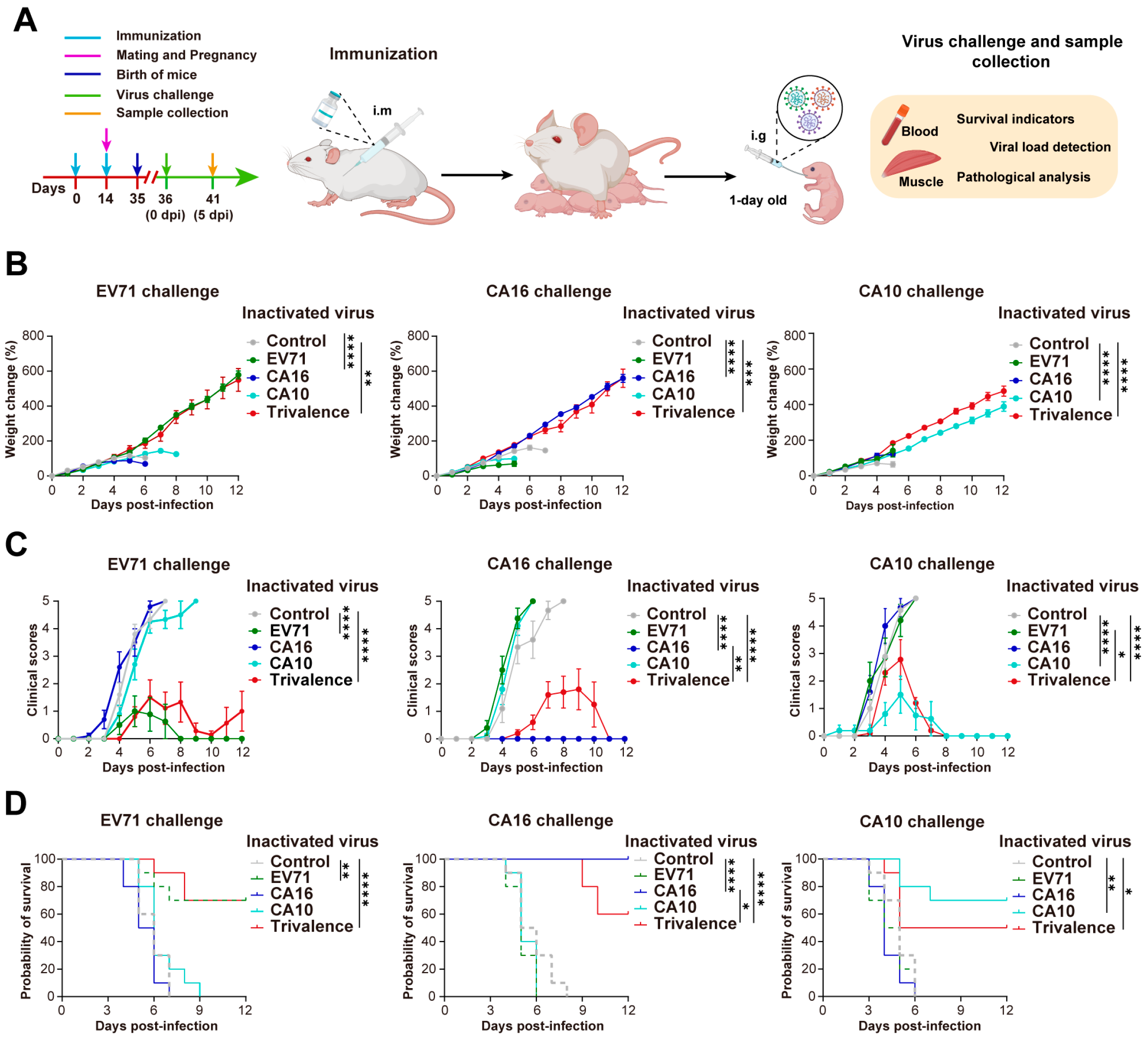 Vaccines 12 00570 g002