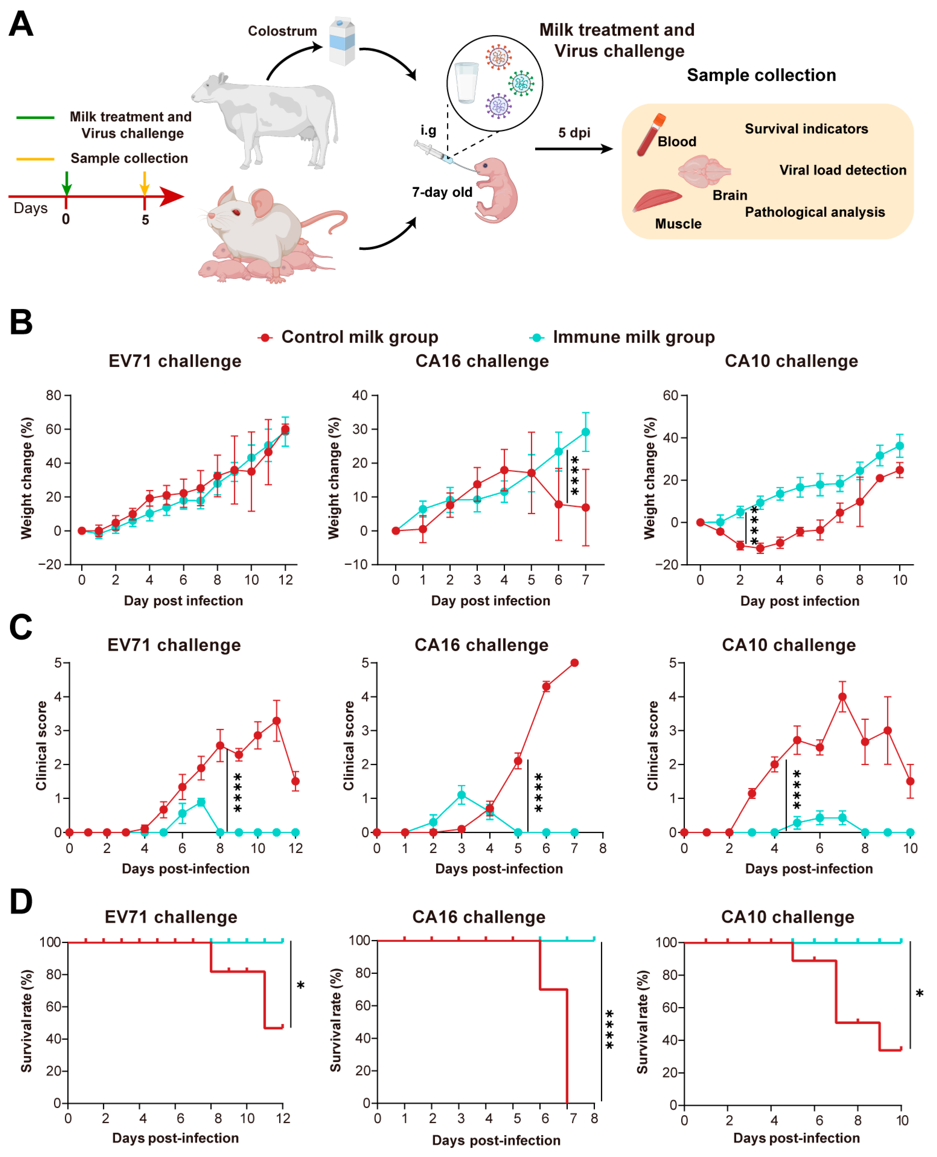 Vaccines 12 00570 g005