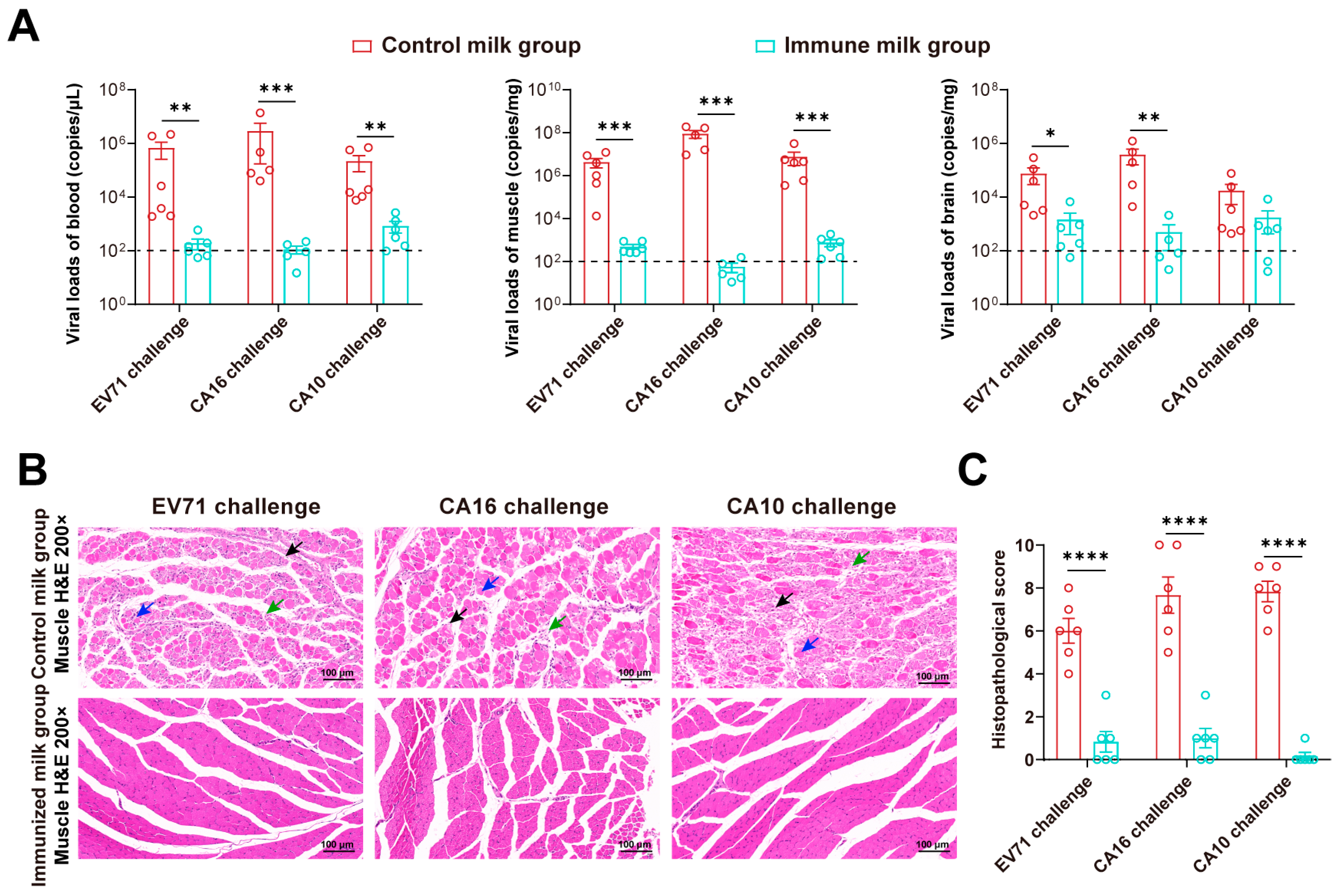 Vaccines 12 00570 g006