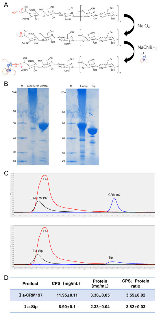 Vaccines 12 00573 g002