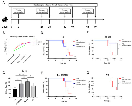 Vaccines 12 00573 g003