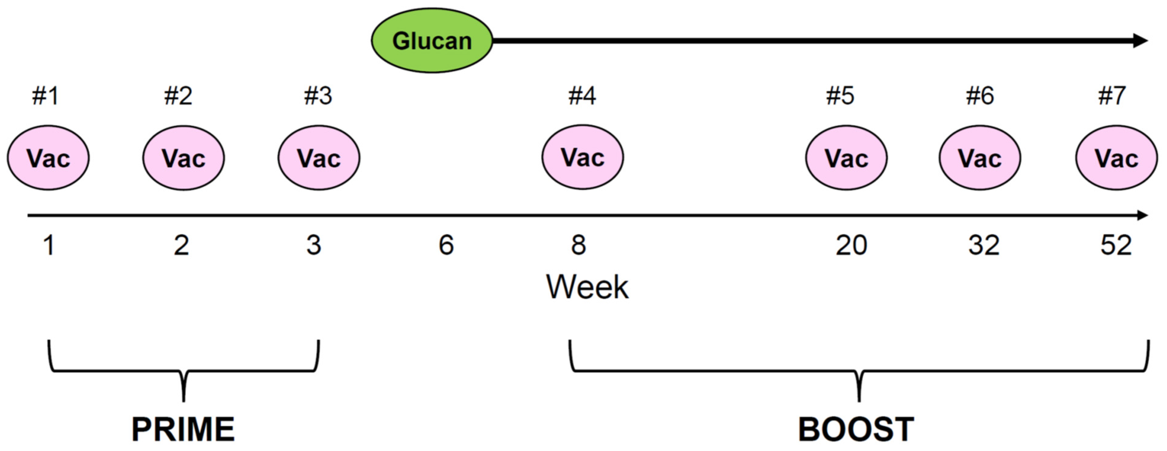 Vaccines 12 00587 g001