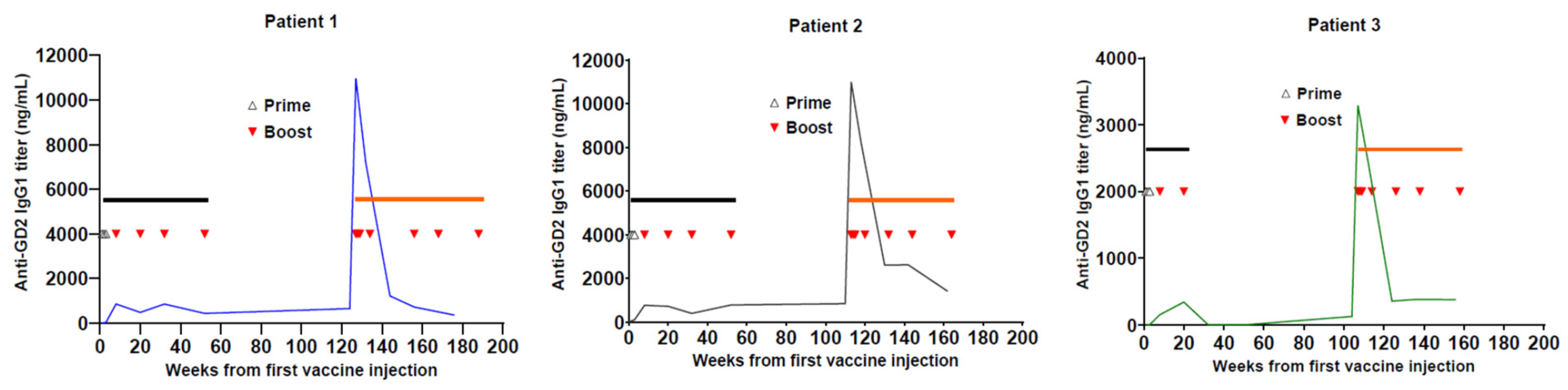 Vaccines 12 00587 g003