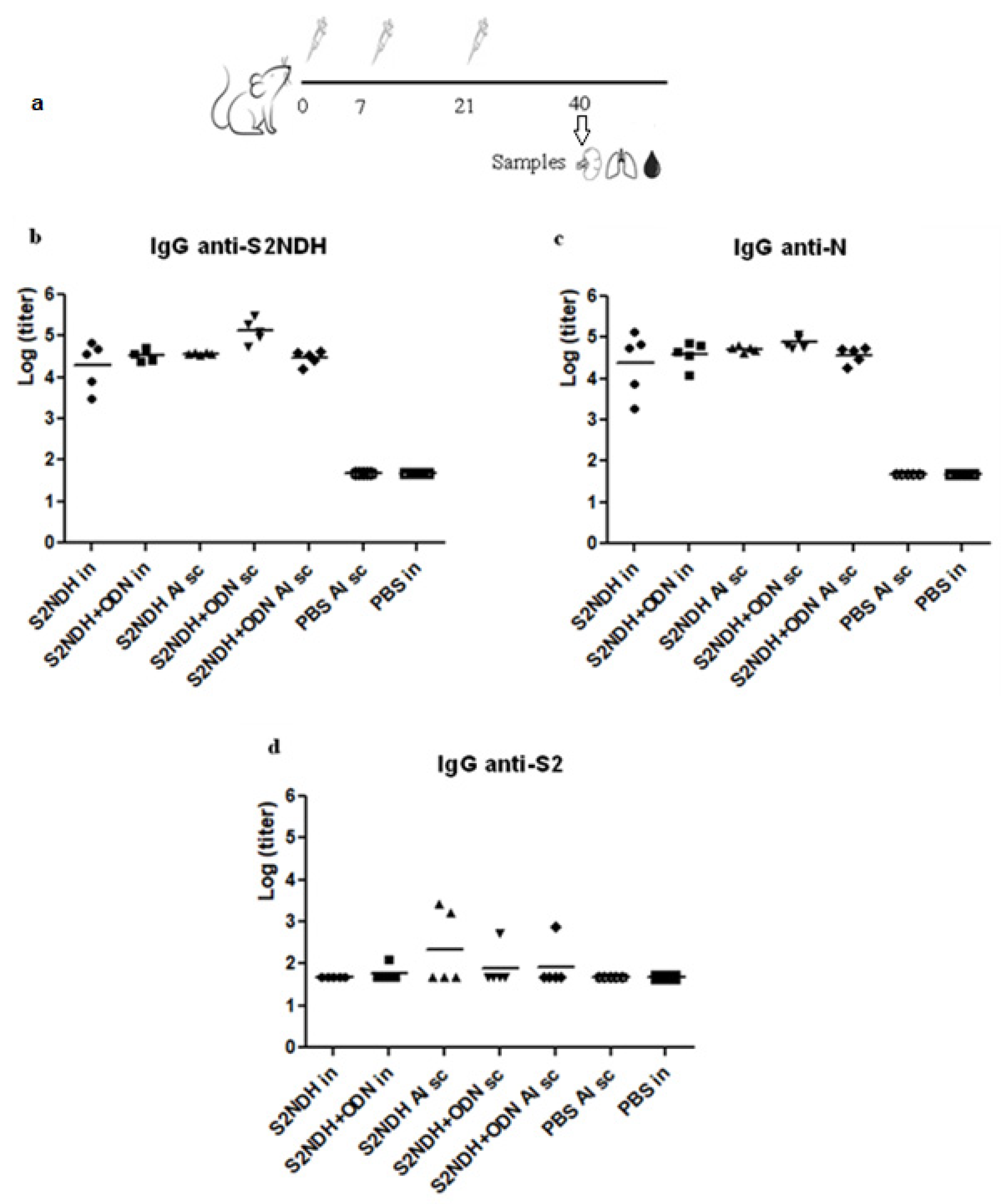 Vaccines 12 00588 g002