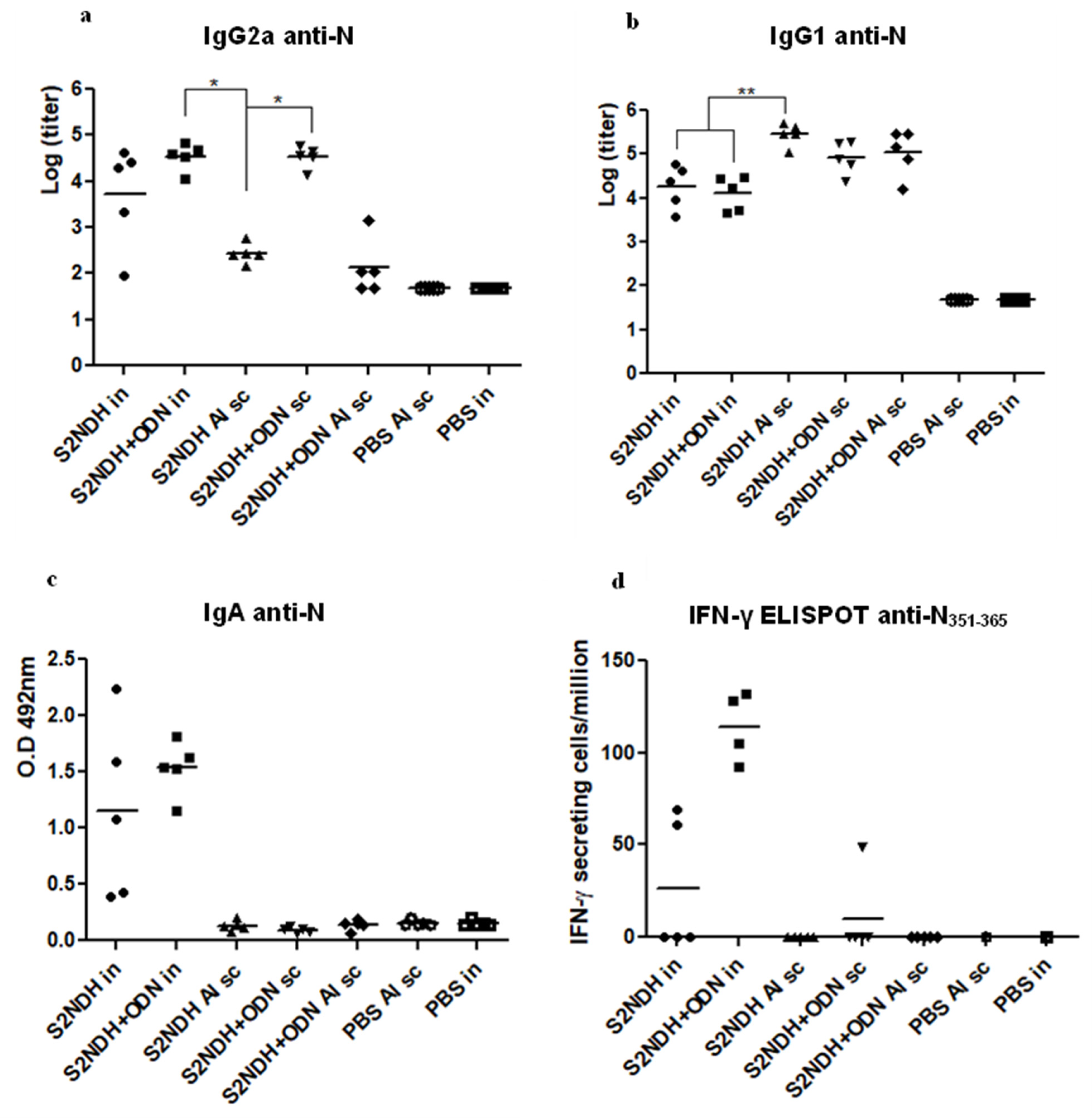 Vaccines 12 00588 g003