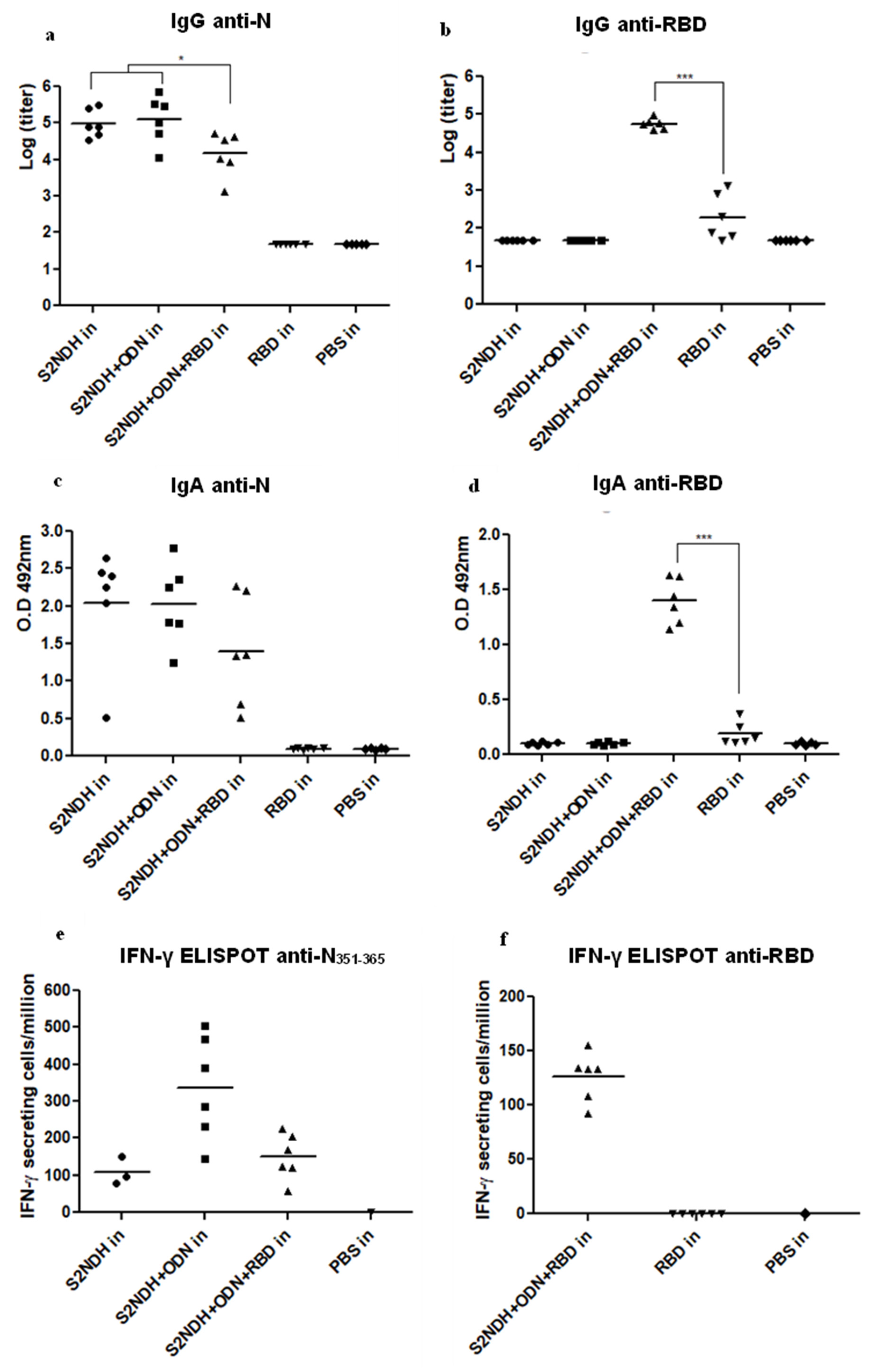 Vaccines 12 00588 g005