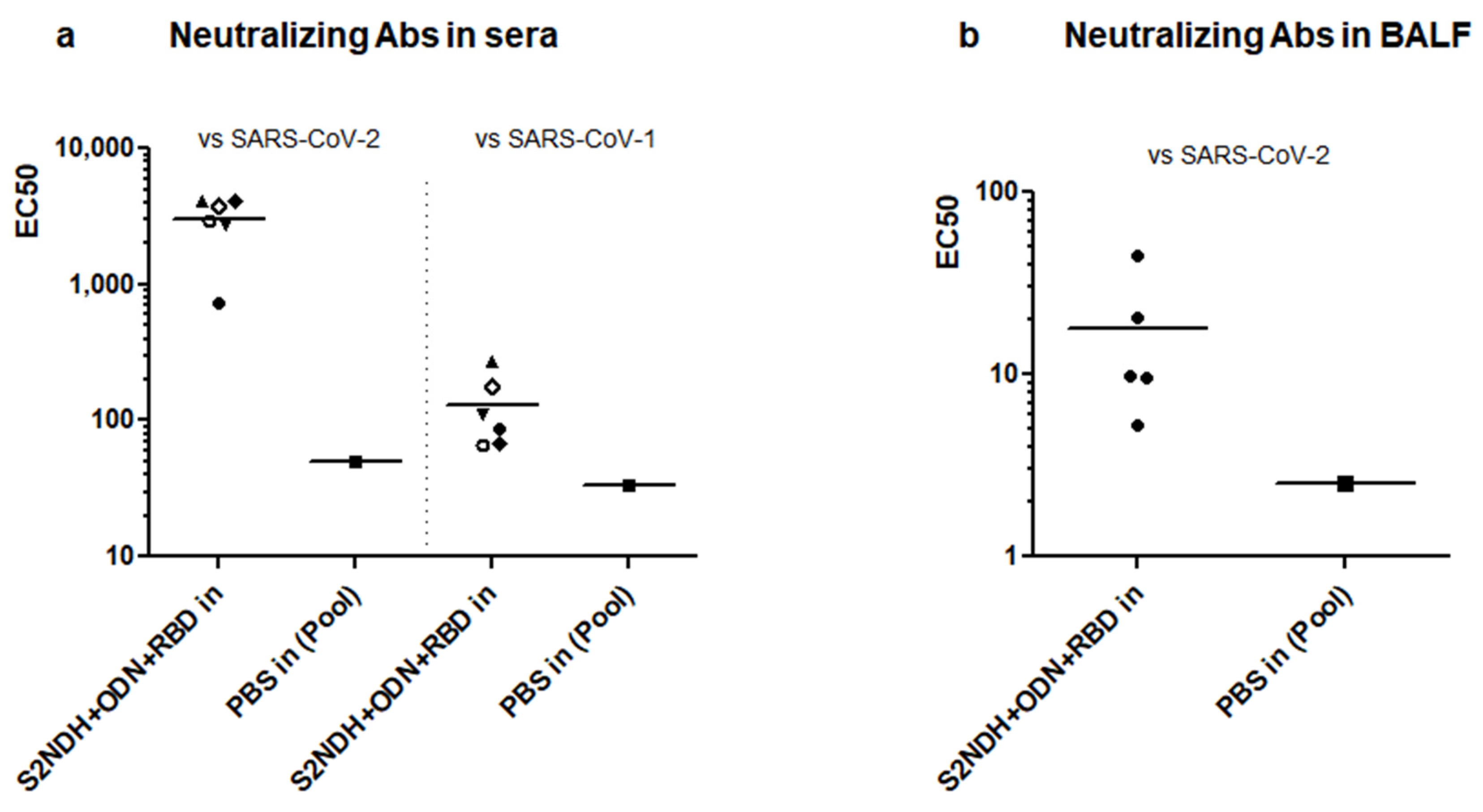 Vaccines 12 00588 g007