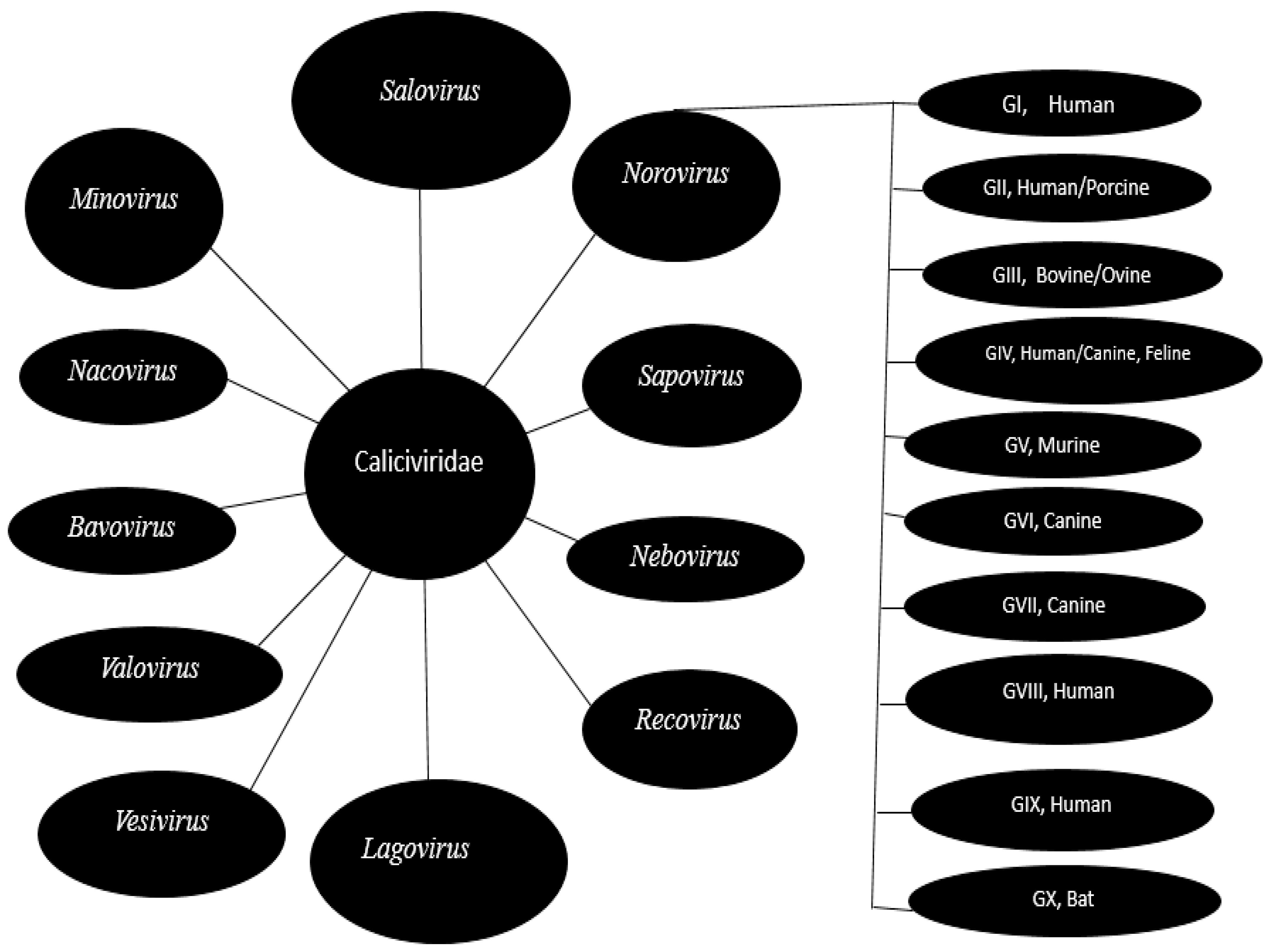 Vaccines 12 00590 g001