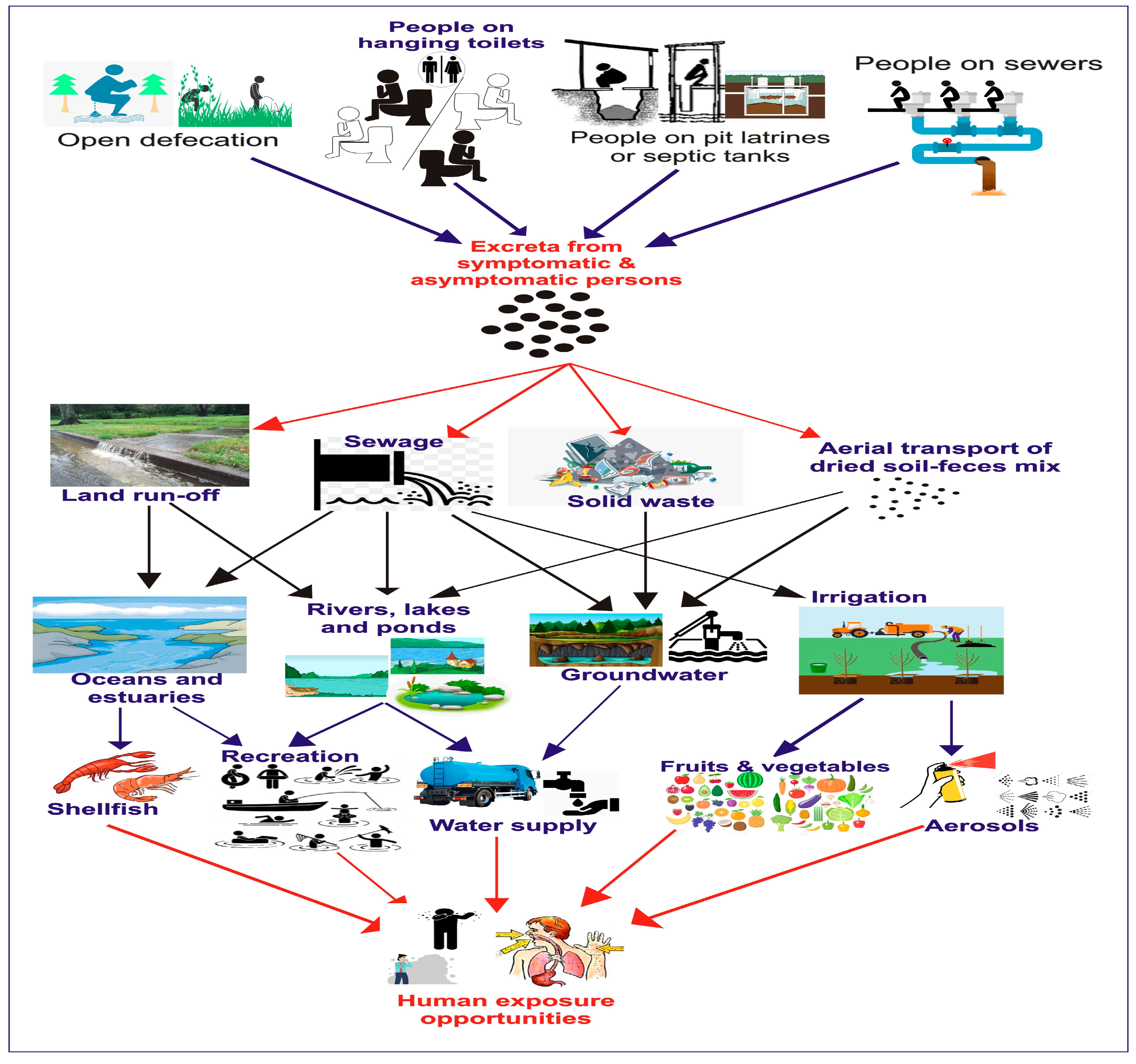 Vaccines 12 00590 g002