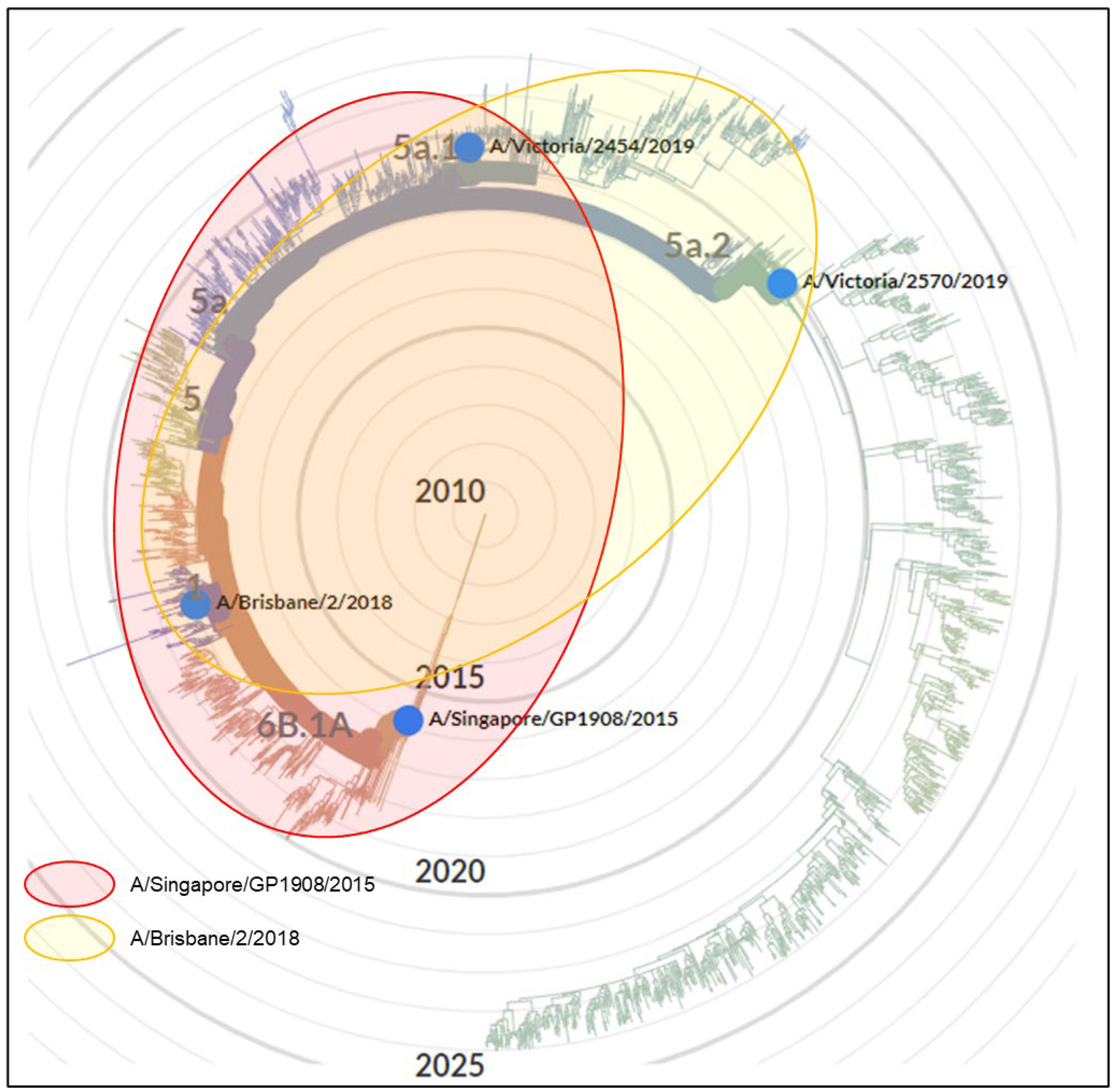 Vaccines 12 00596 g003
