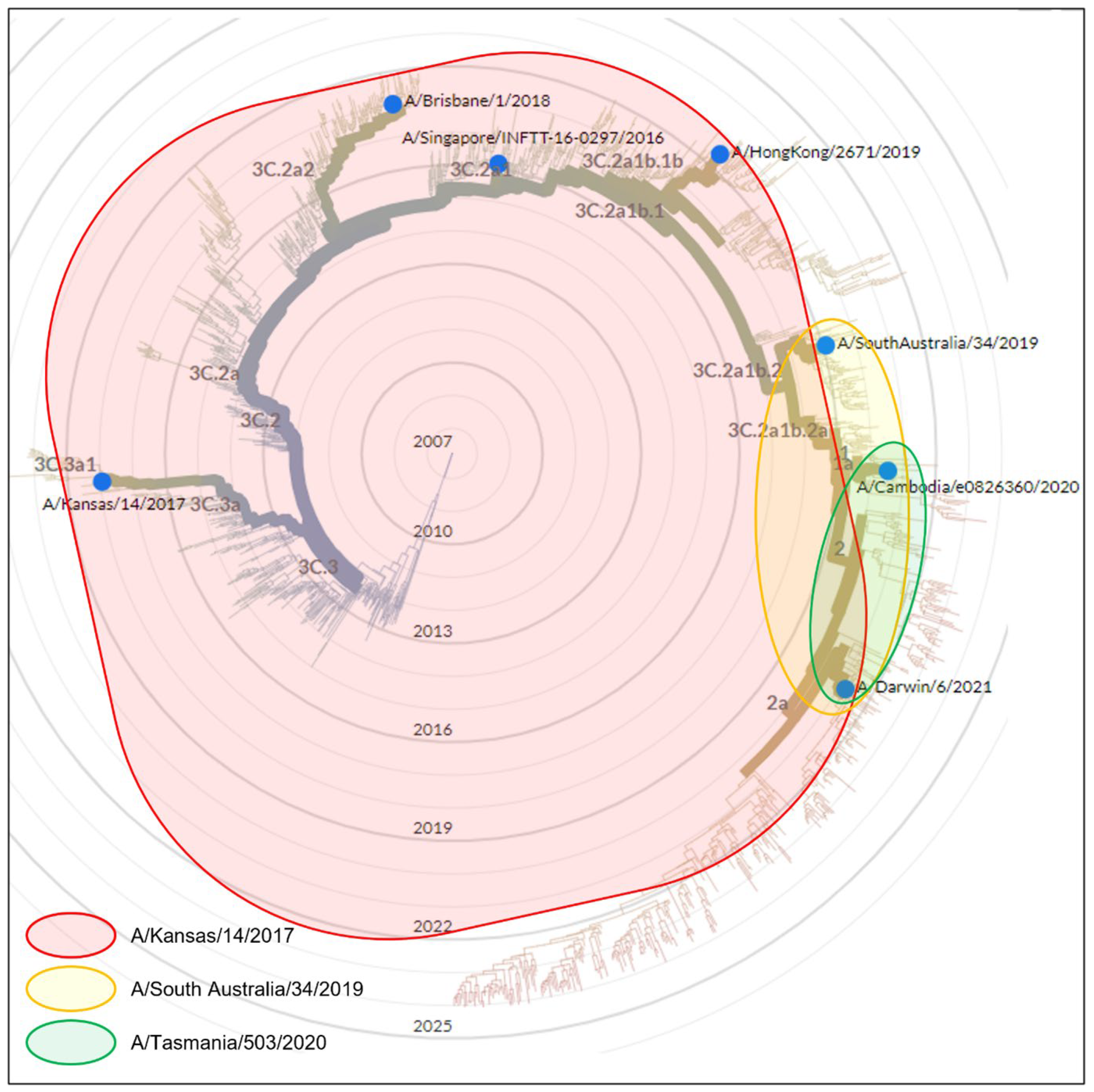 Vaccines 12 00596 g004