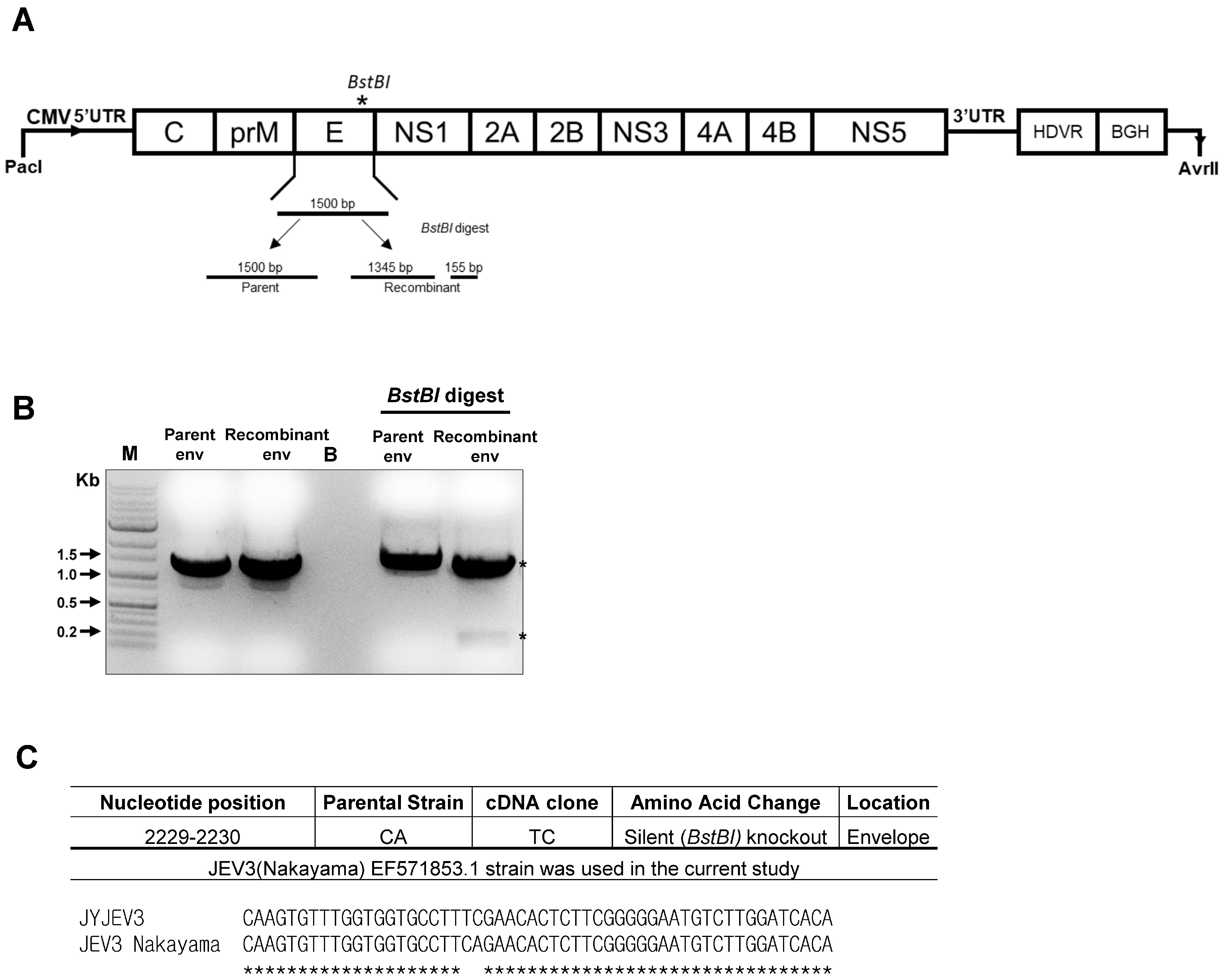 Vaccines 12 00597 g003