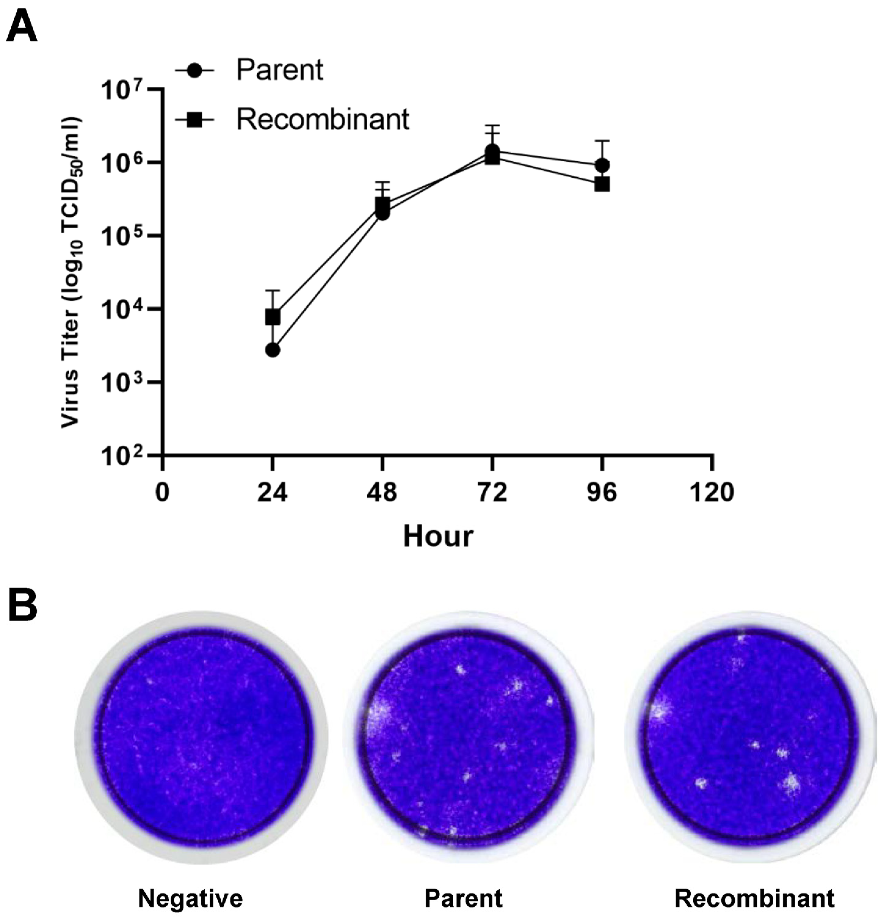 Vaccines 12 00597 g004