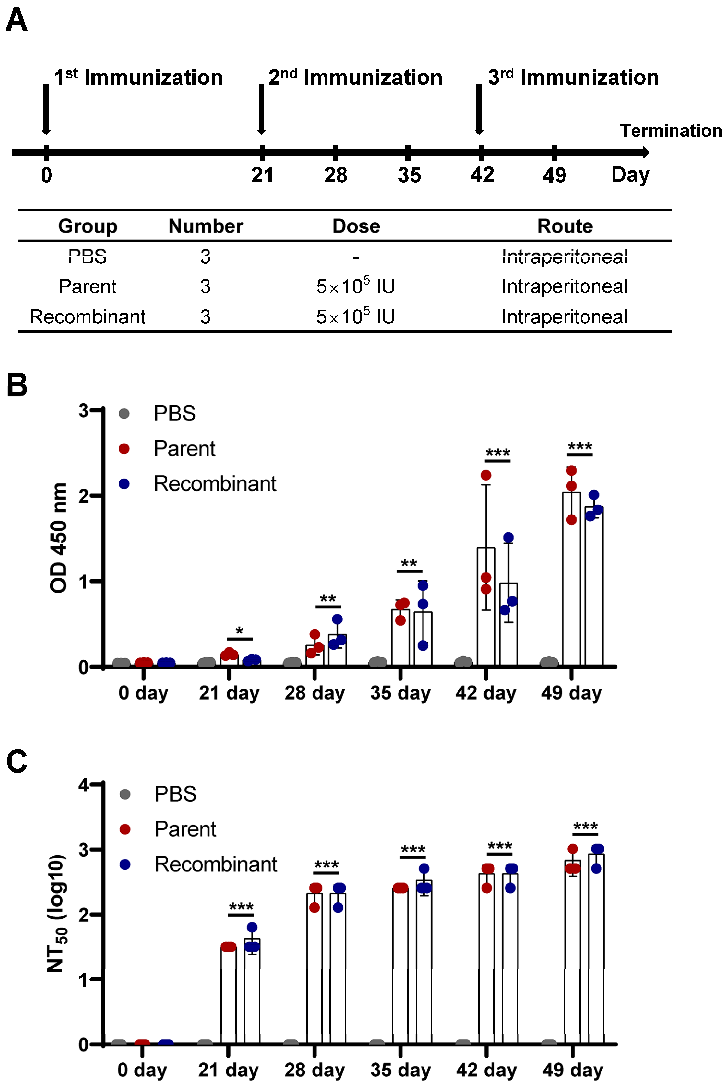 Vaccines 12 00597 g006