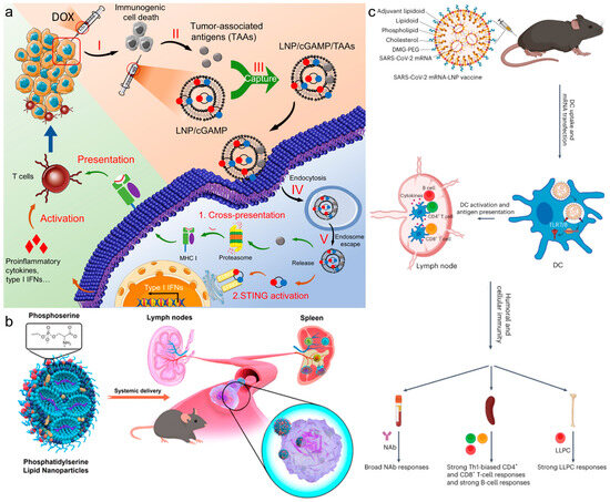 Vaccines 12 00603 g002