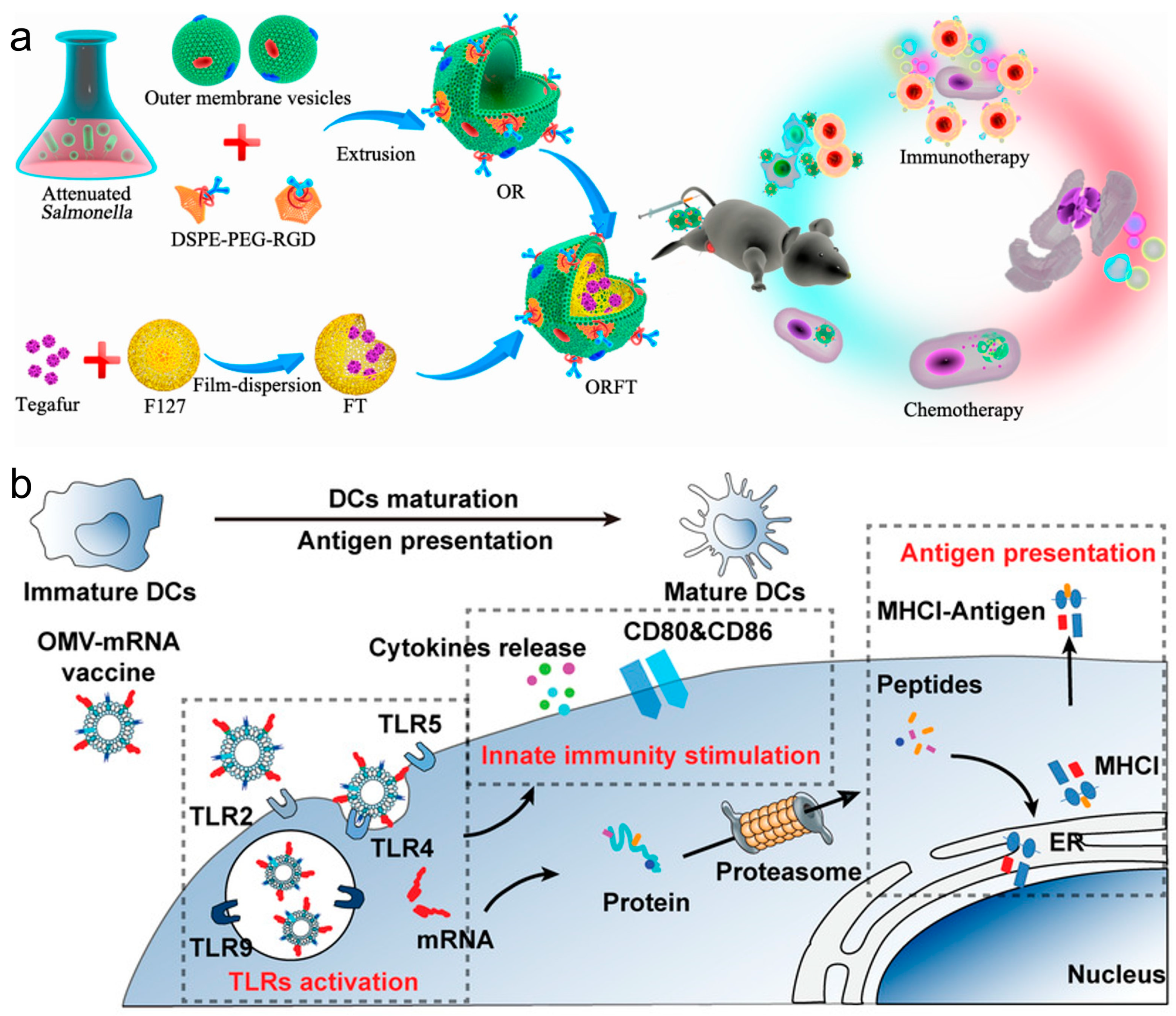 Vaccines 12 00603 g006